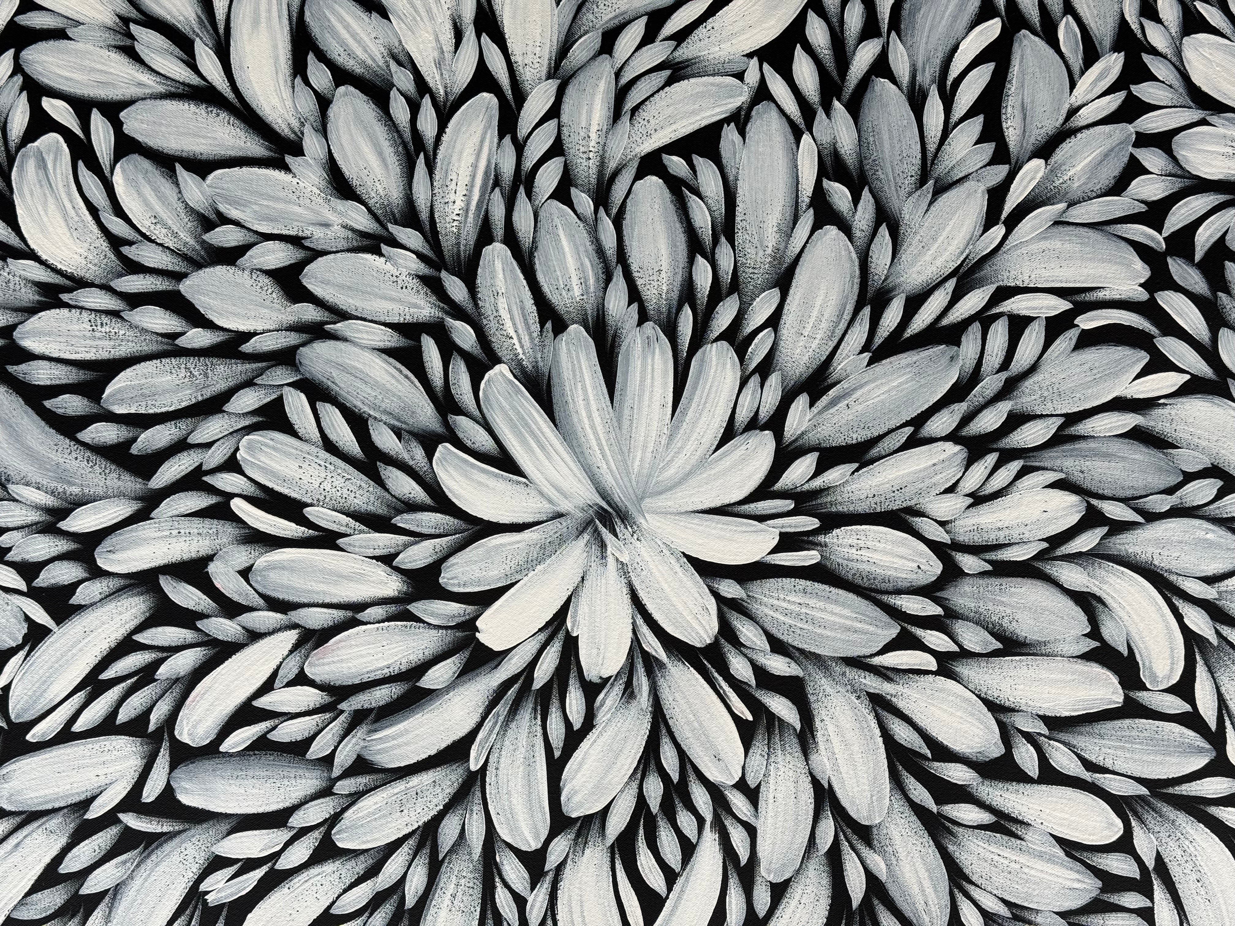 Louise Numina Napananka - Bush Medicine Leaves .16-75