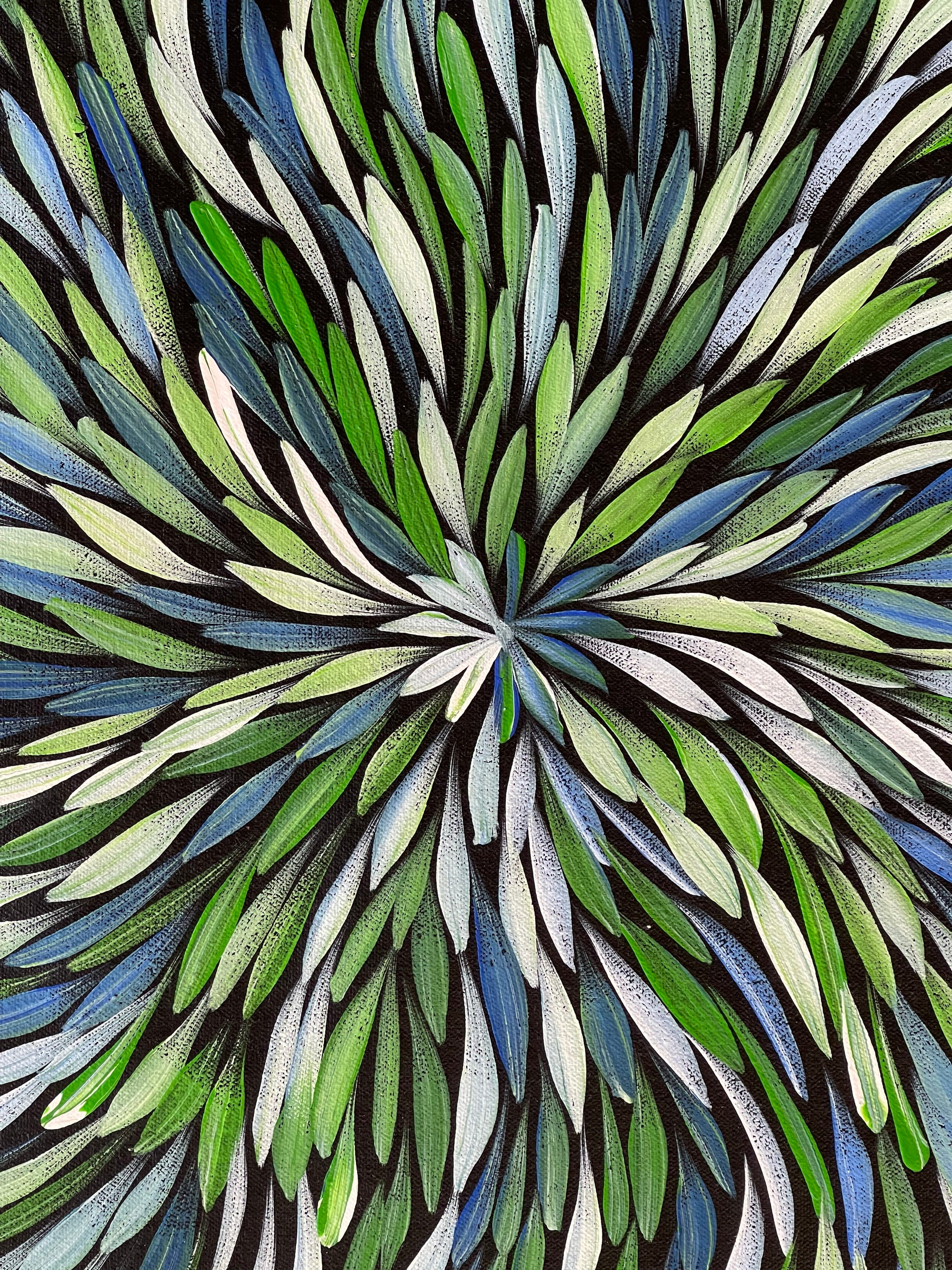 Sharon Numina - Bush Medicine Leaves - 58x60cm .92-1