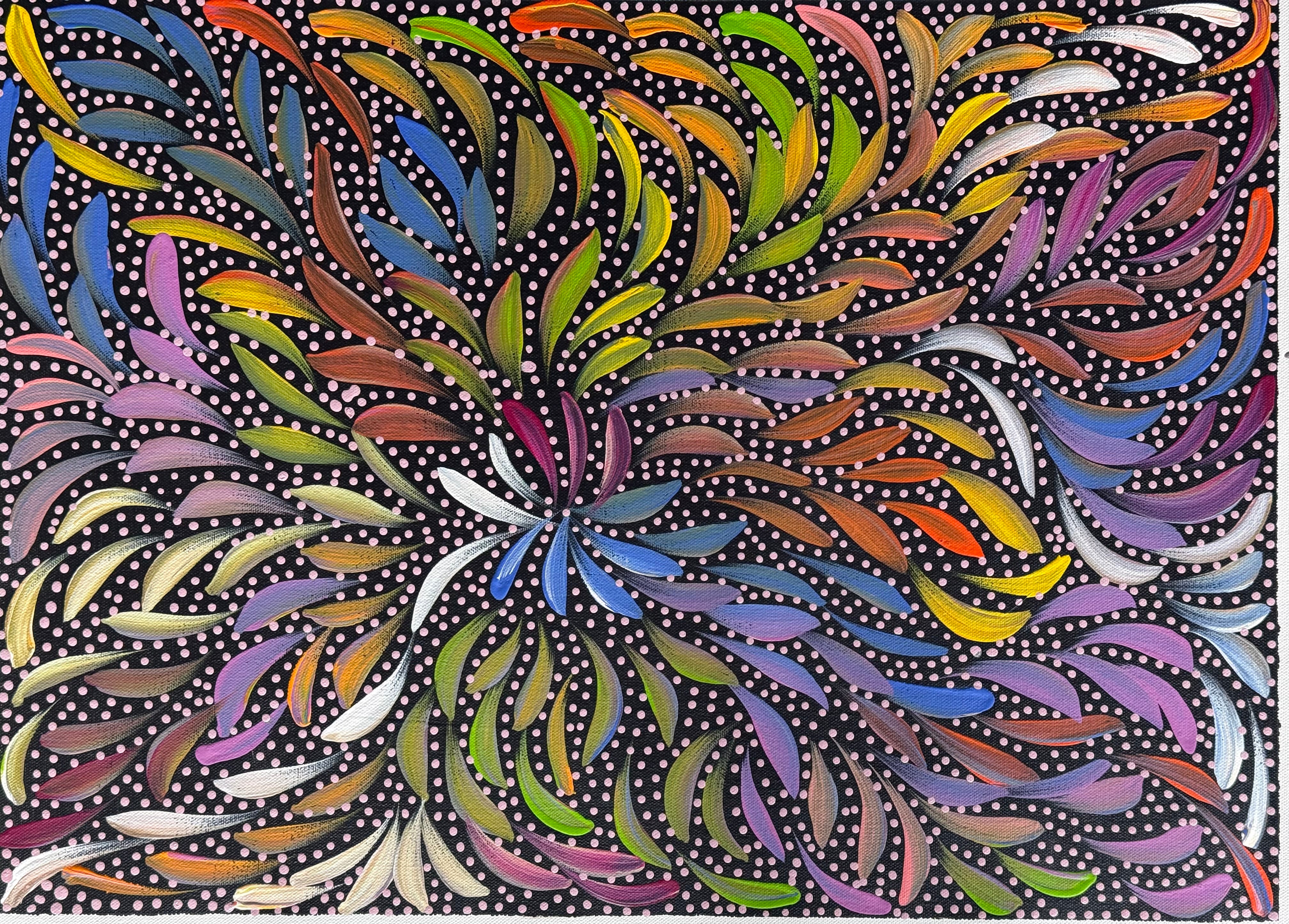 Caroline Numina - Bush Medicine Leaves and Seeds .35-13