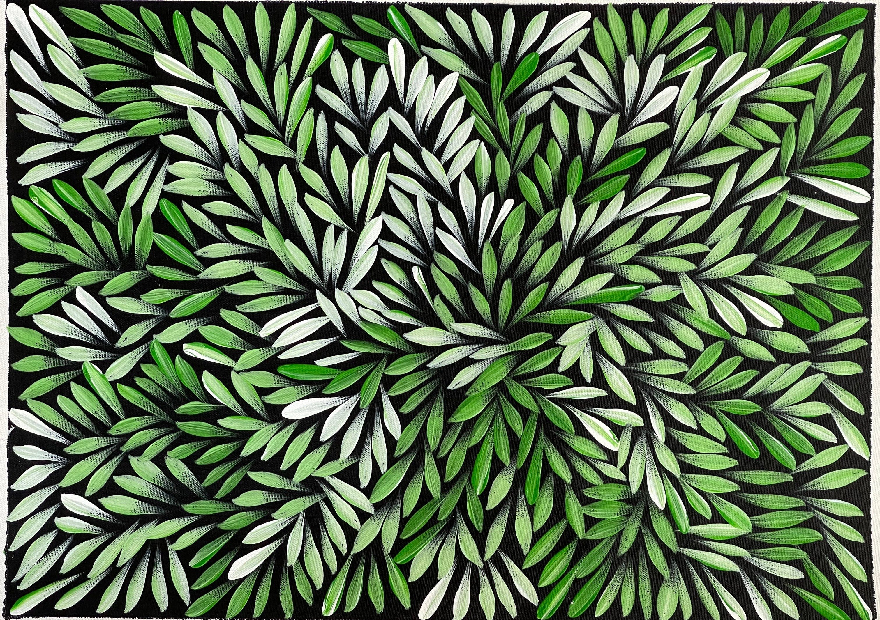 Sharon Numina - Bush Medicine Leaves - 38x53cm .80-9