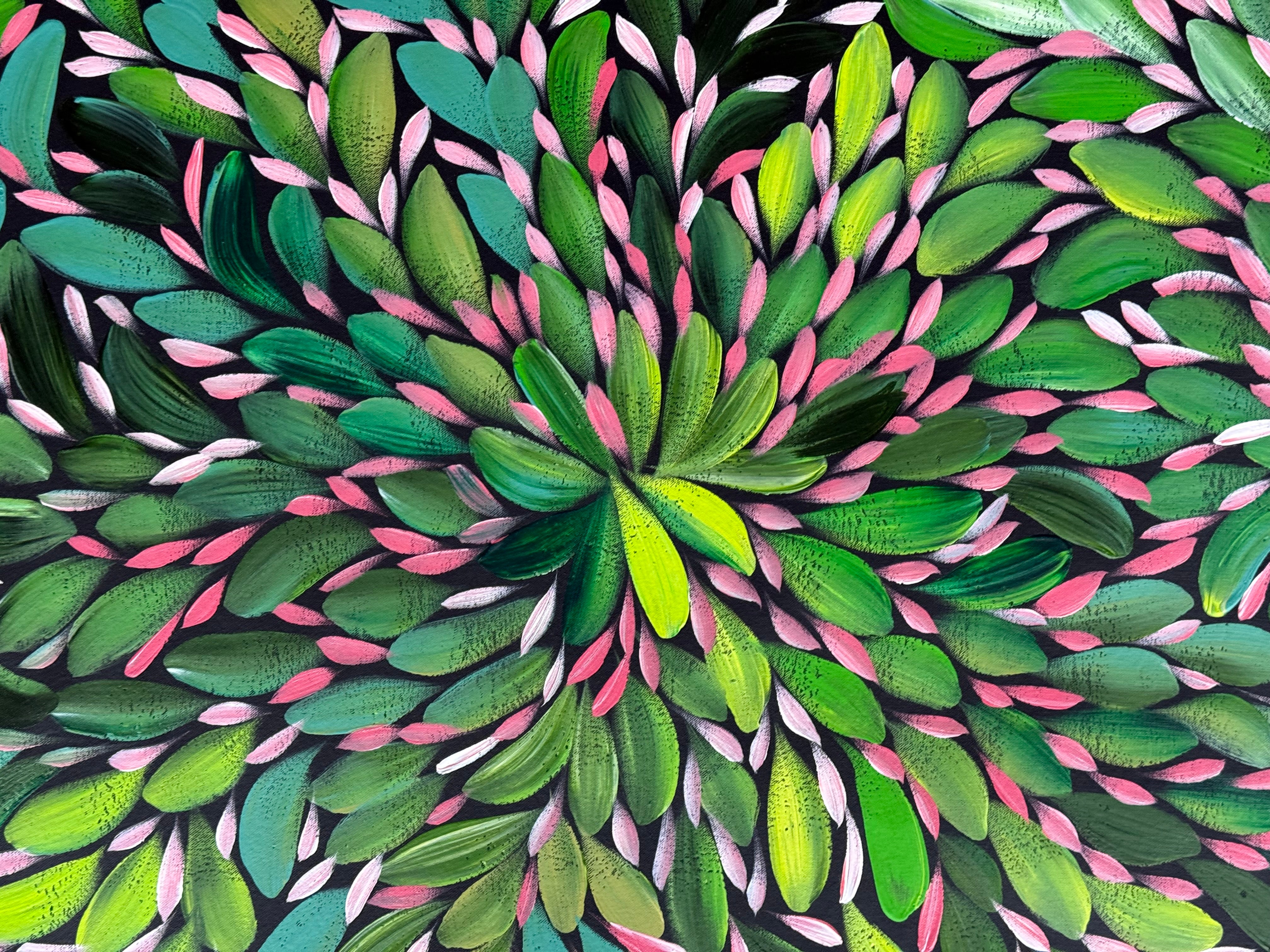 Louise Numina Napananka - Bush Medicine Leaves .22-30