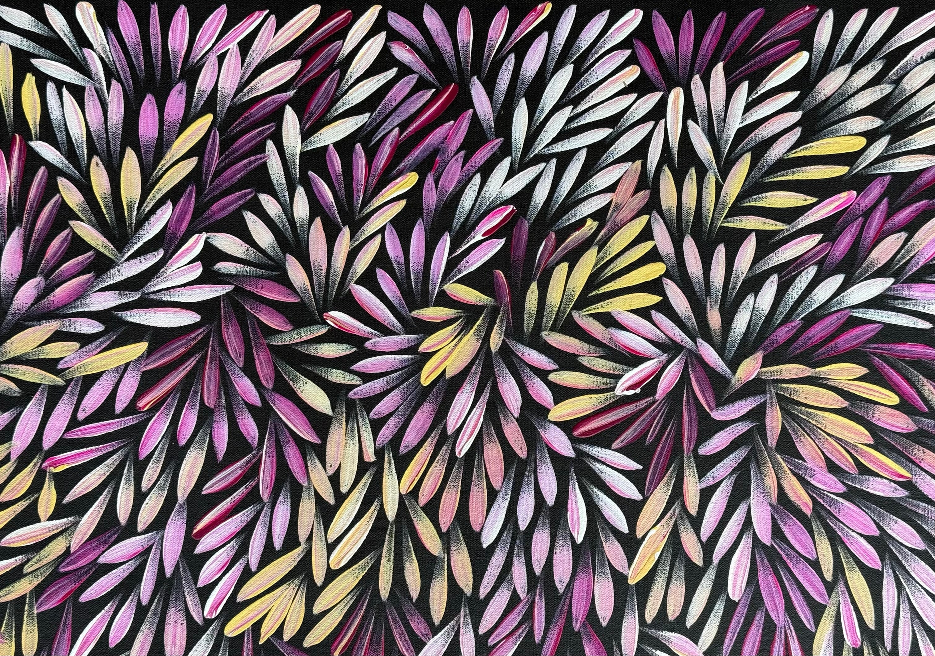 Sharon Numina - Bush Medicine Leaves .59-5