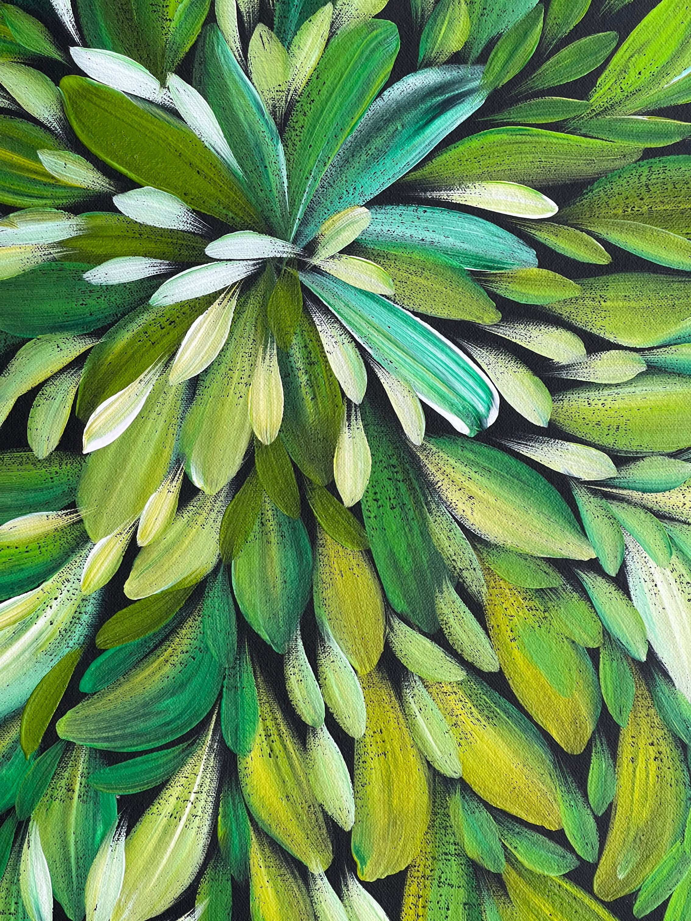 Louise Numina Napananka - Bush Medicine Leaves - 59x60cm .71-25