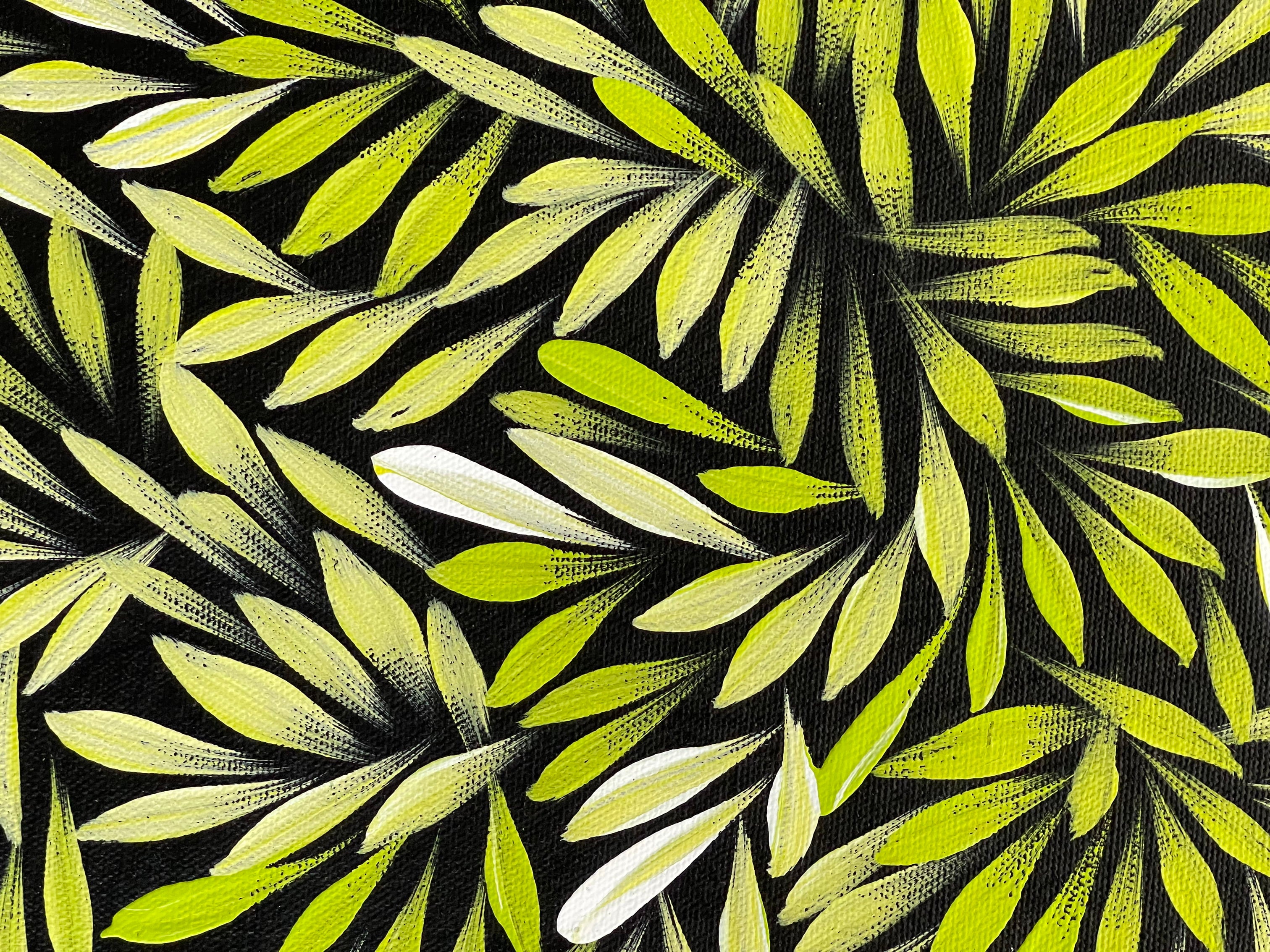 Sharon Numina - Bush Medicine Leaves - 38x53cm .80-8