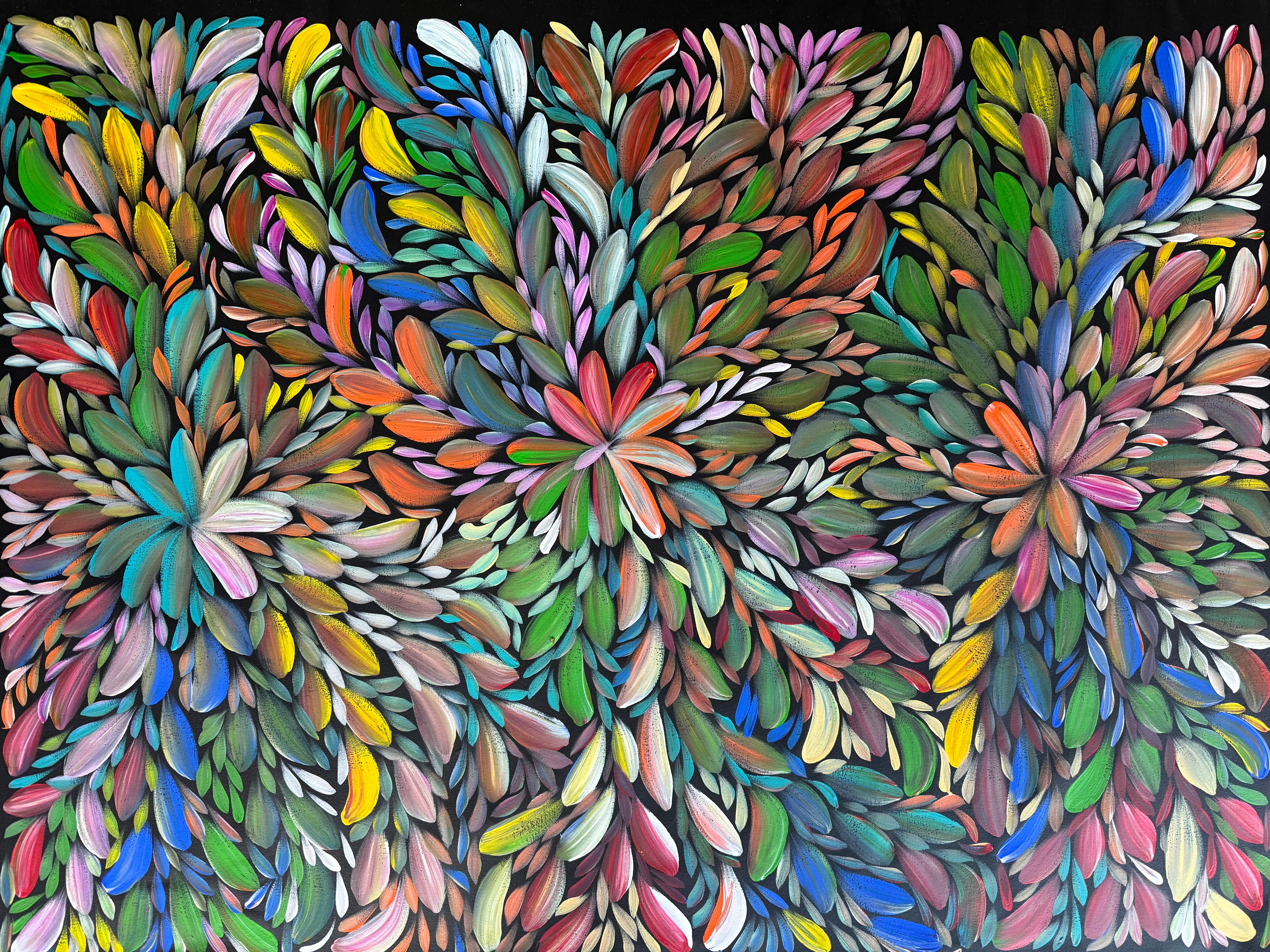 Louise Numina Napananka - Bush Medicine Leaves .16-2