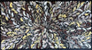Louise Numina Napananka - Bush Medicine Leaves .80-4