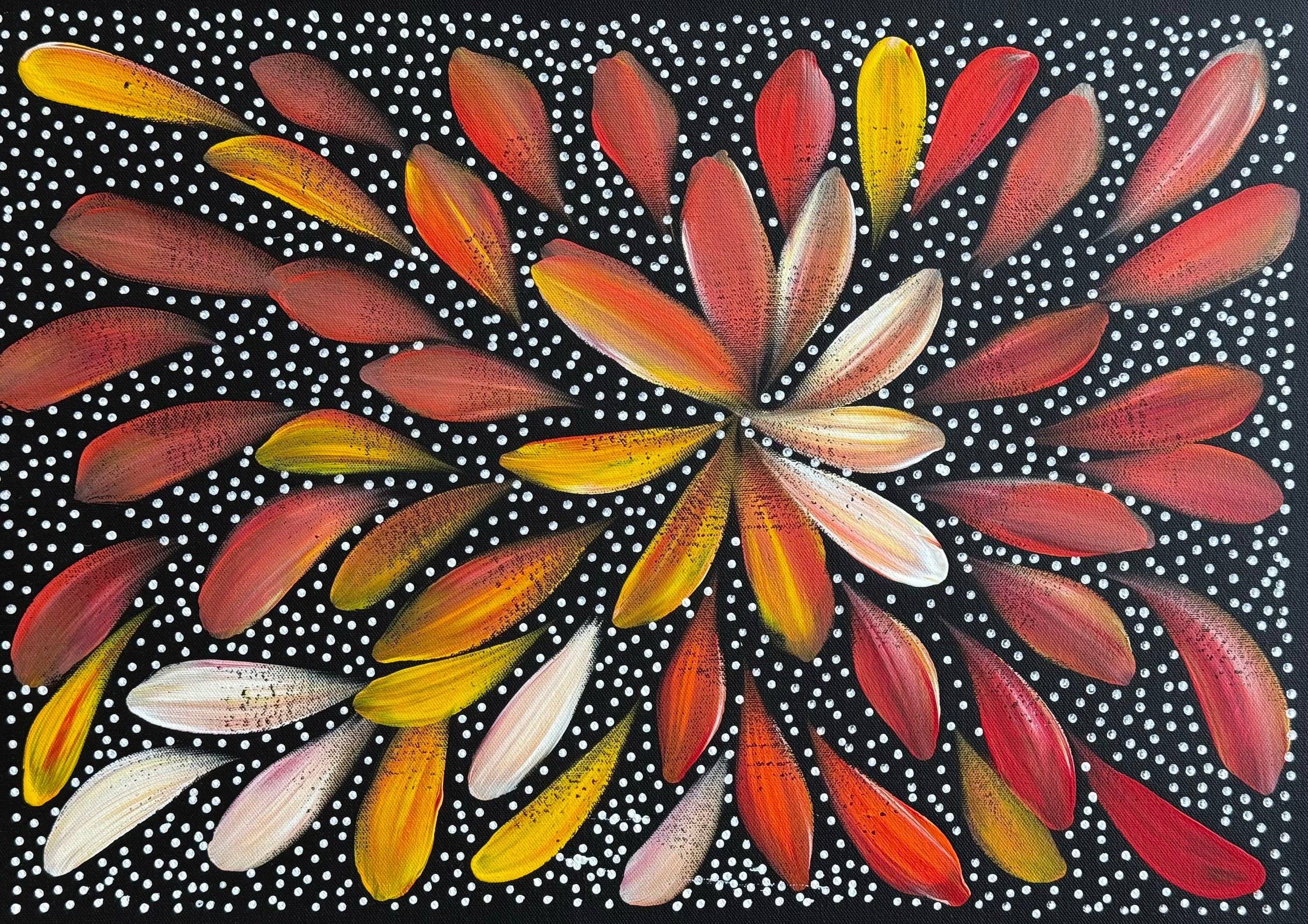 Louise Numina Napananka - Bush Medicine Leaves and Seeds .60-19
