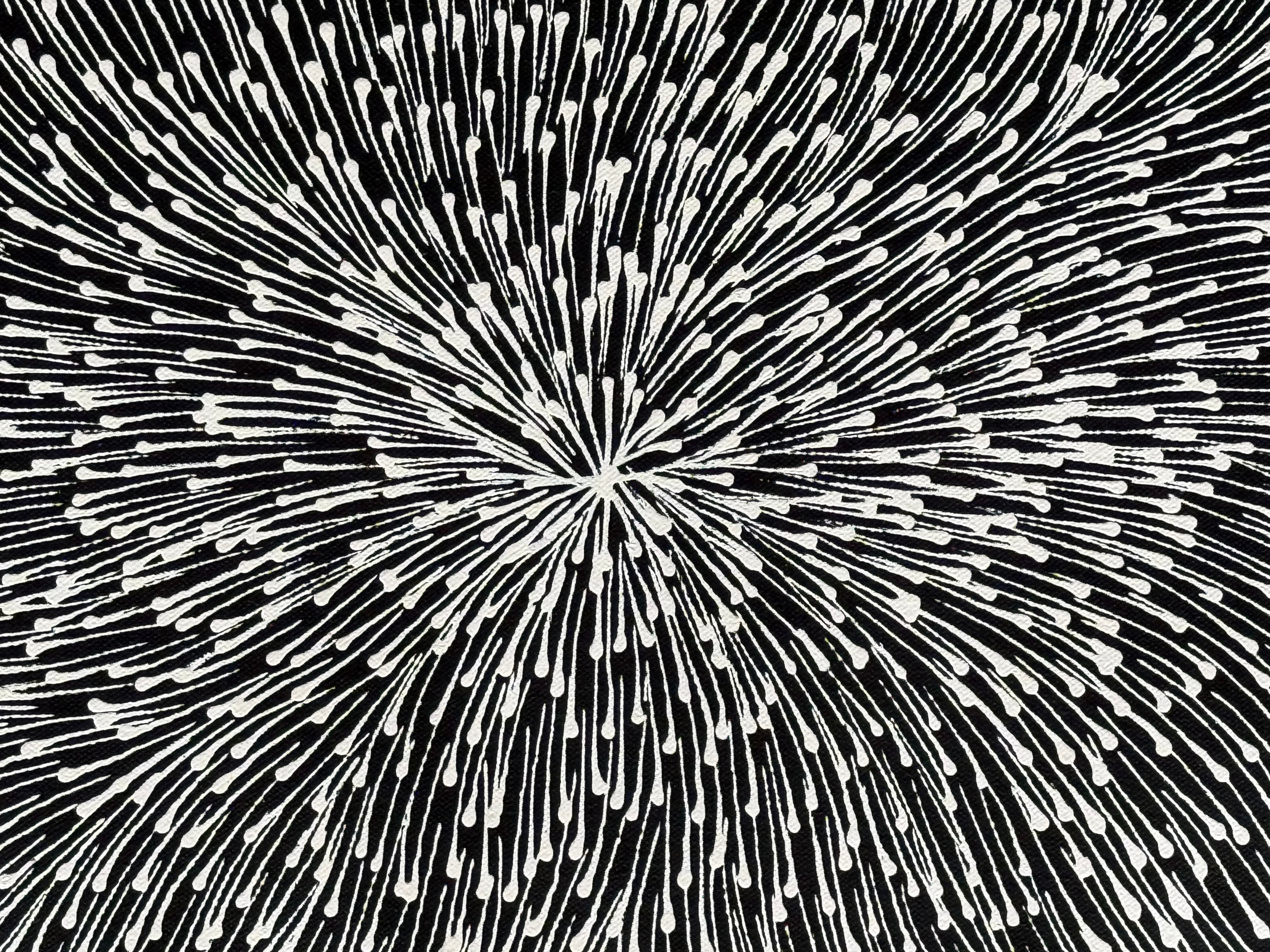 Sharon Numina - Bush Medicine Seeds .14-8