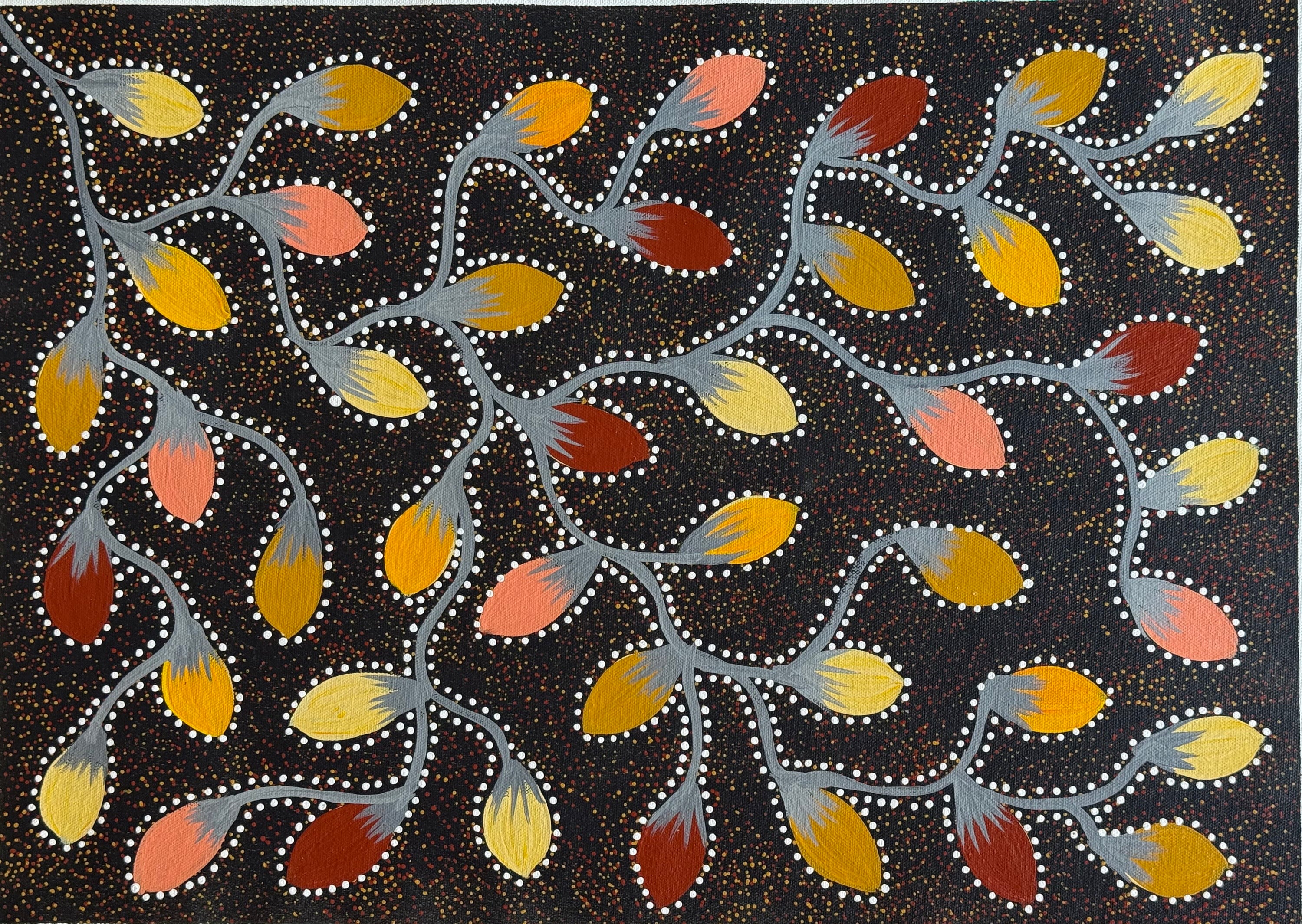 Jacinta Numina Waugh - Bush Tomatoes - 38x52cm .30-5