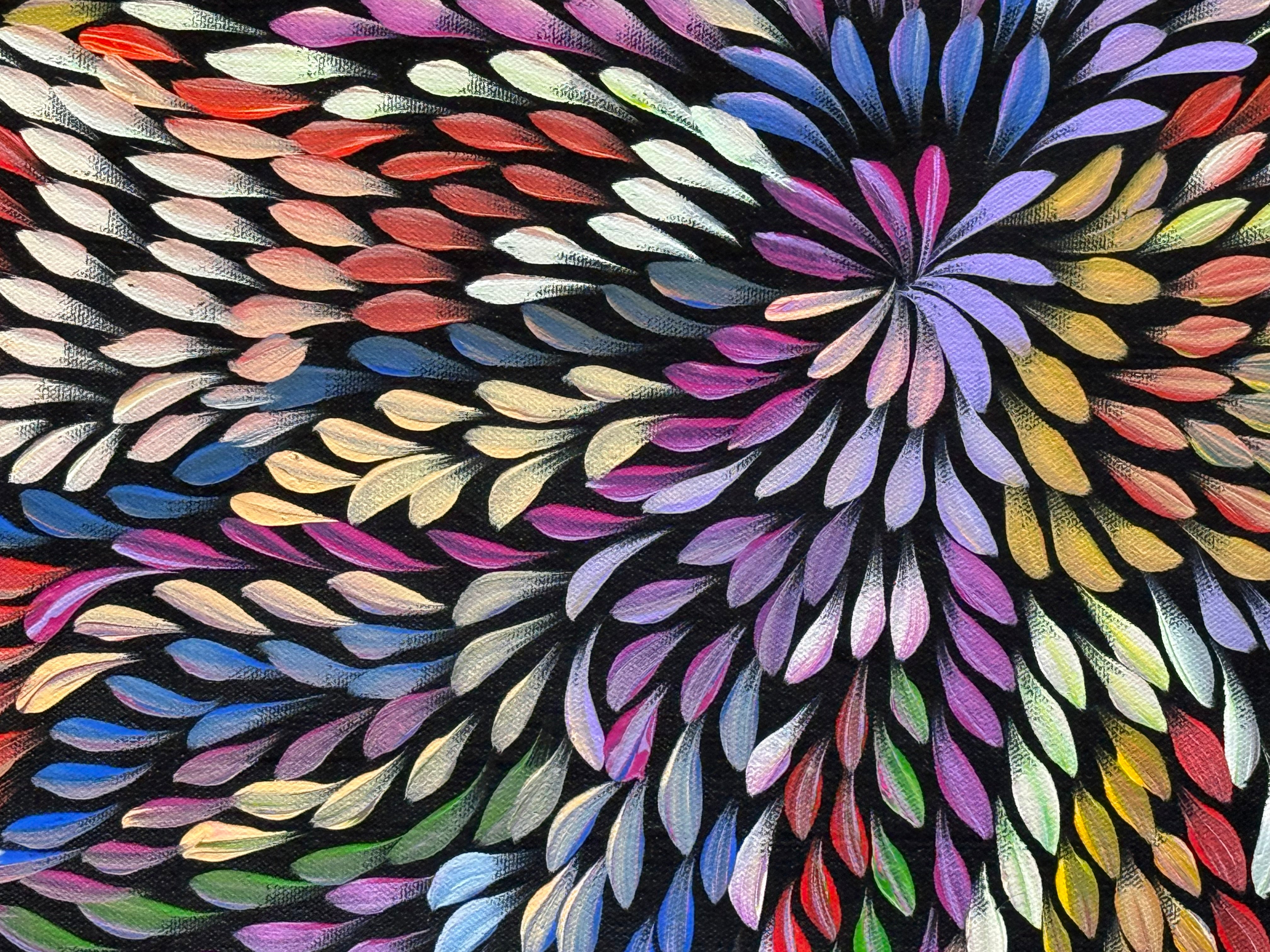 Caroline Numina - Bush Medicine Leaves .04-44