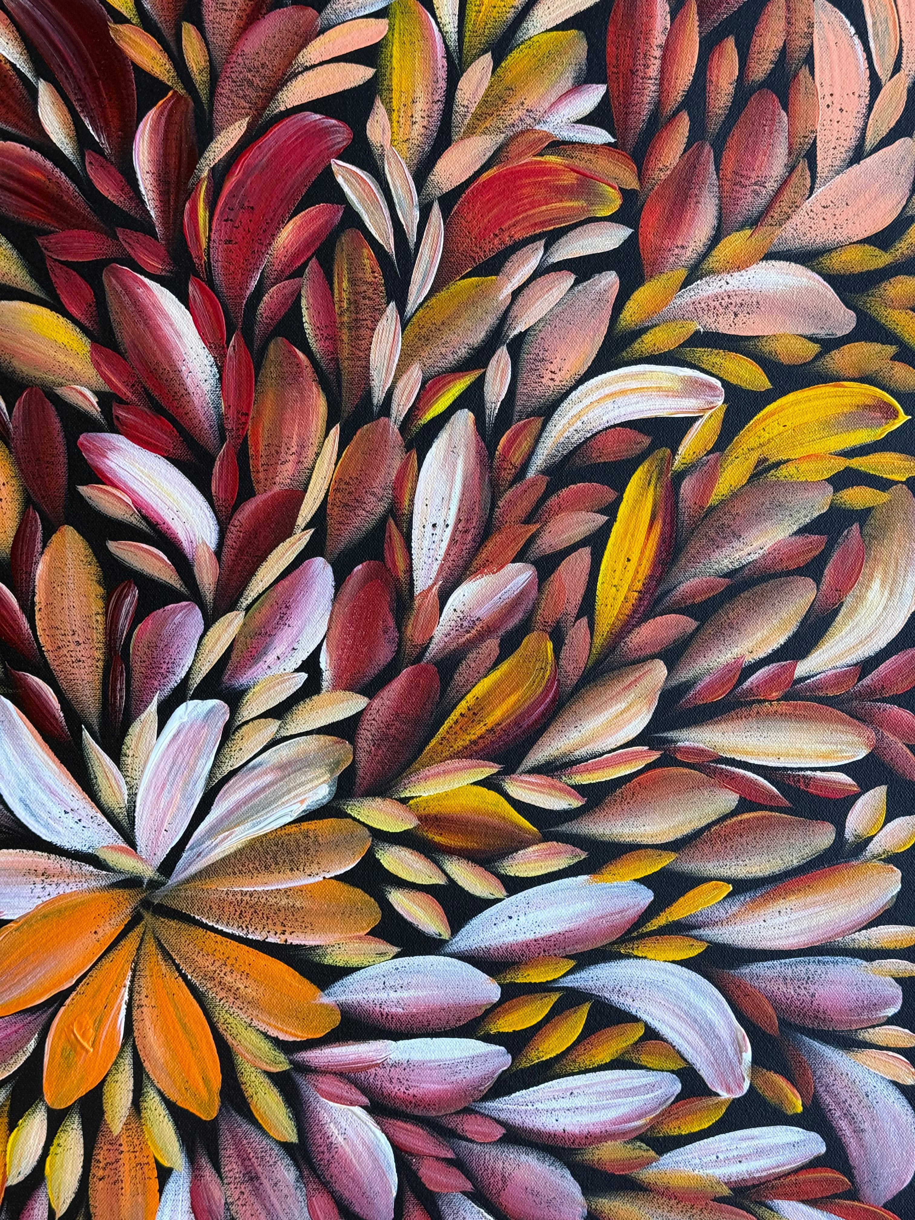 Louise Numina Napananka - Bush Medicine Leaves .24-13