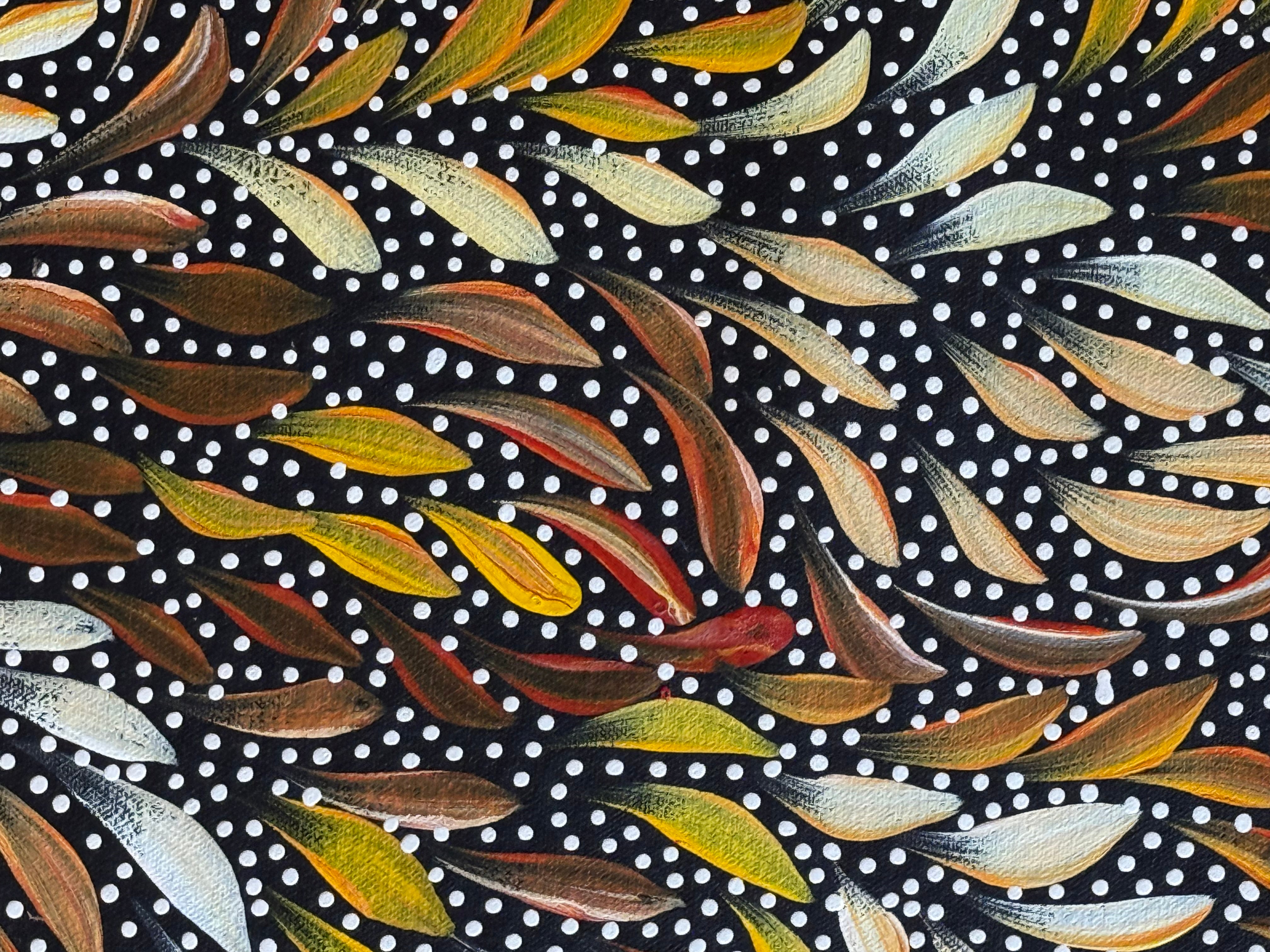 Caroline Numina - Seeded Bush Medicine Leaves .04-29