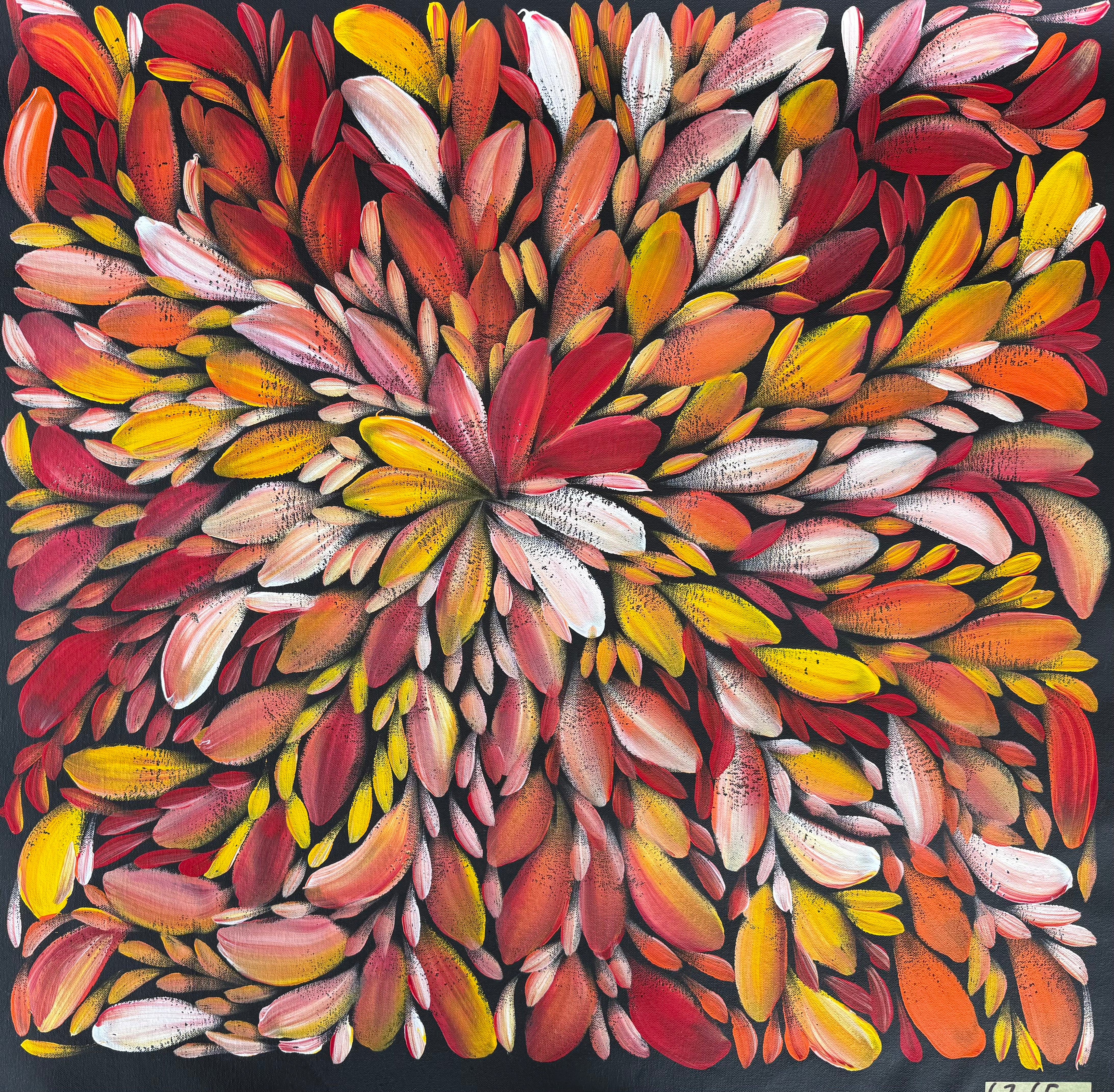 Louise Numina Napananka - Bush Medicine Leaves .75-15