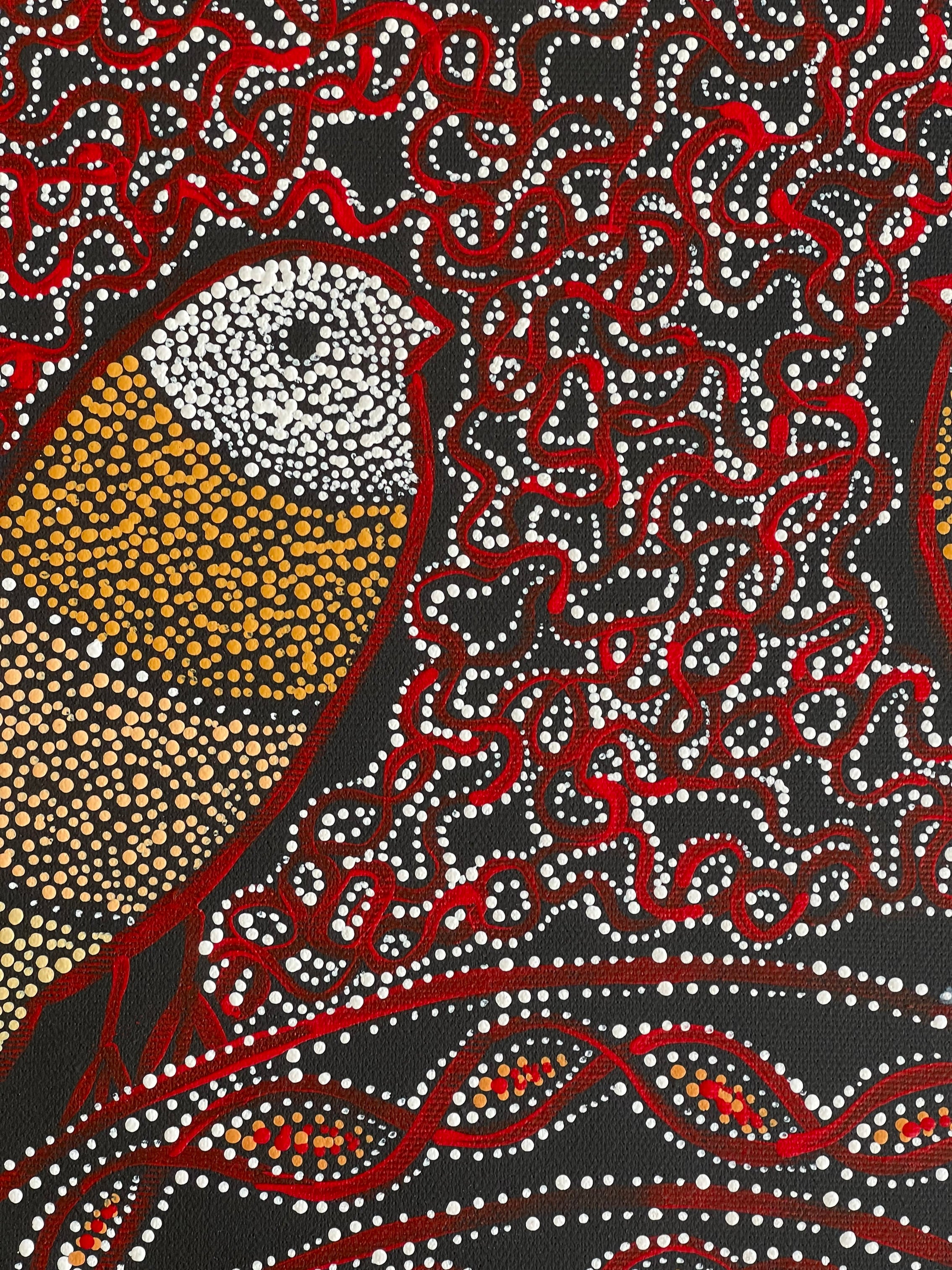 Geraldine Napangardi Granites - Jurlu kuja kalu nyinami Yurntumu-wana (Birds that live around Yuendumu) - 30x30cm Stretched