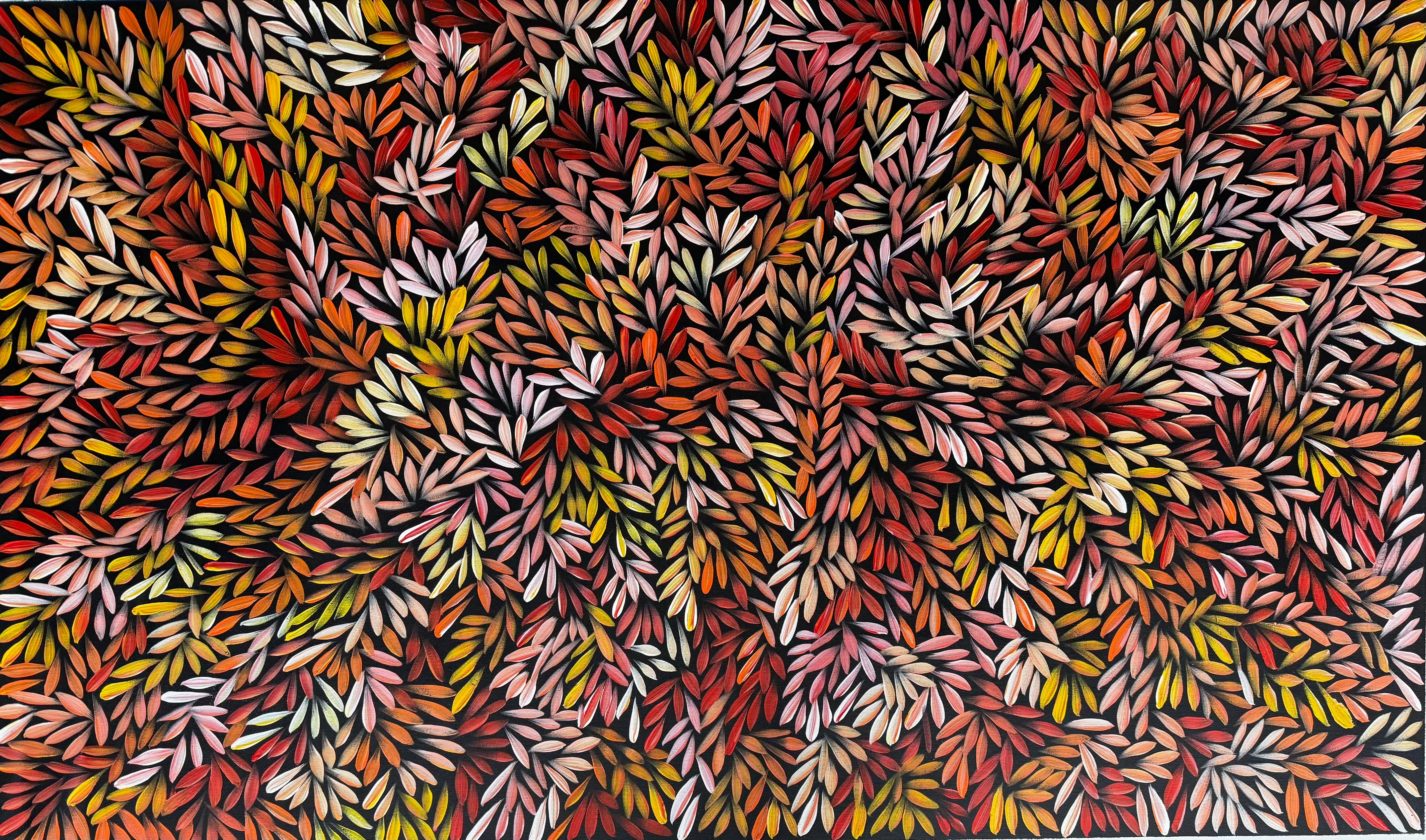 Sharon Numina - Bush Medicine Leaves .50-5