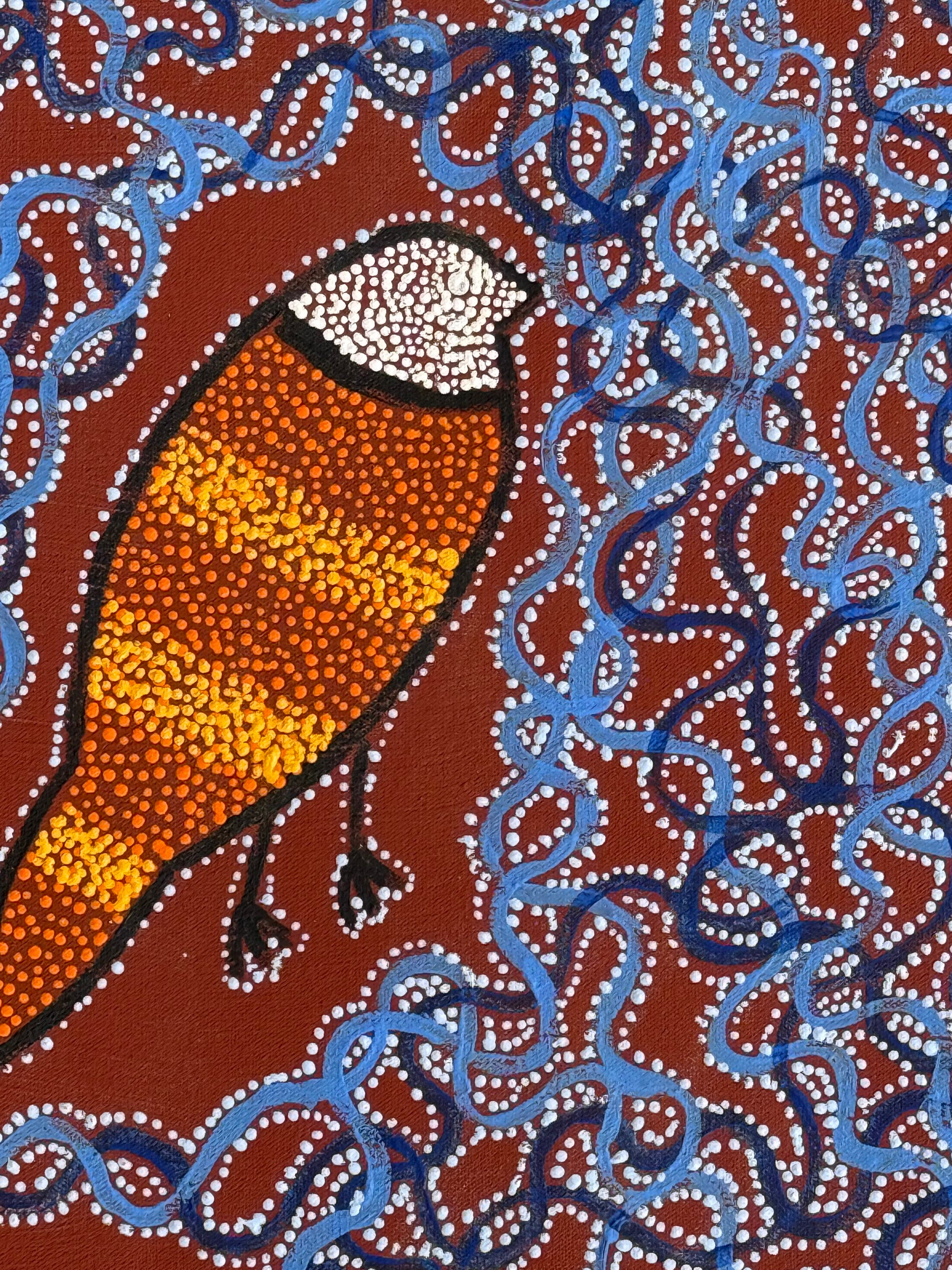 Geraldine Napangardi Granites - Ngalyipi Jukurrpa (Snakevine Dreaming) Mina Mina - 46x46cm