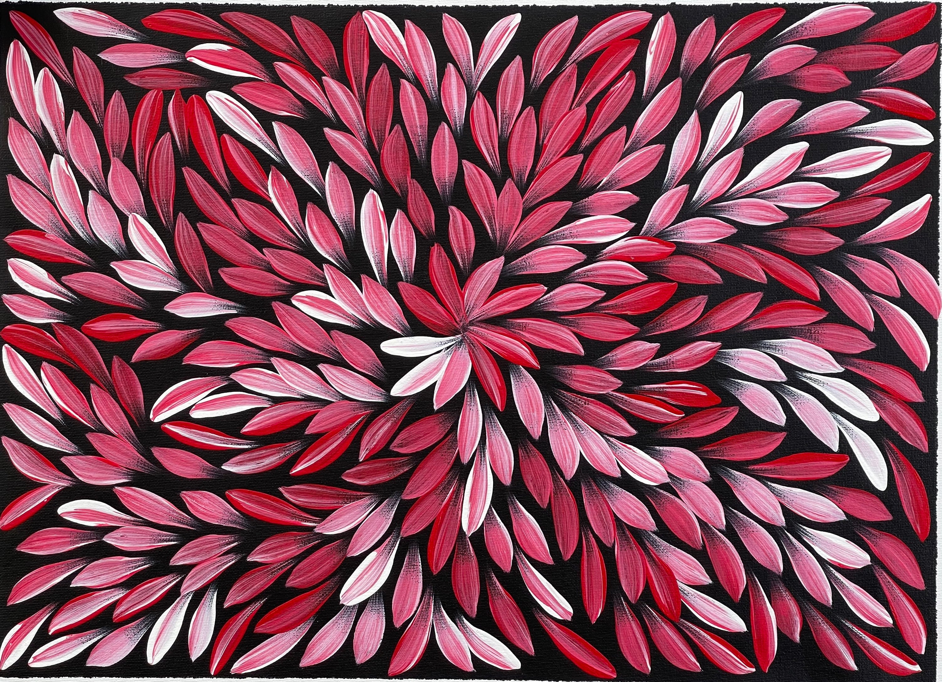 Jacinta Numina - Bush Medicine Leaves - 38x53cm .39-13