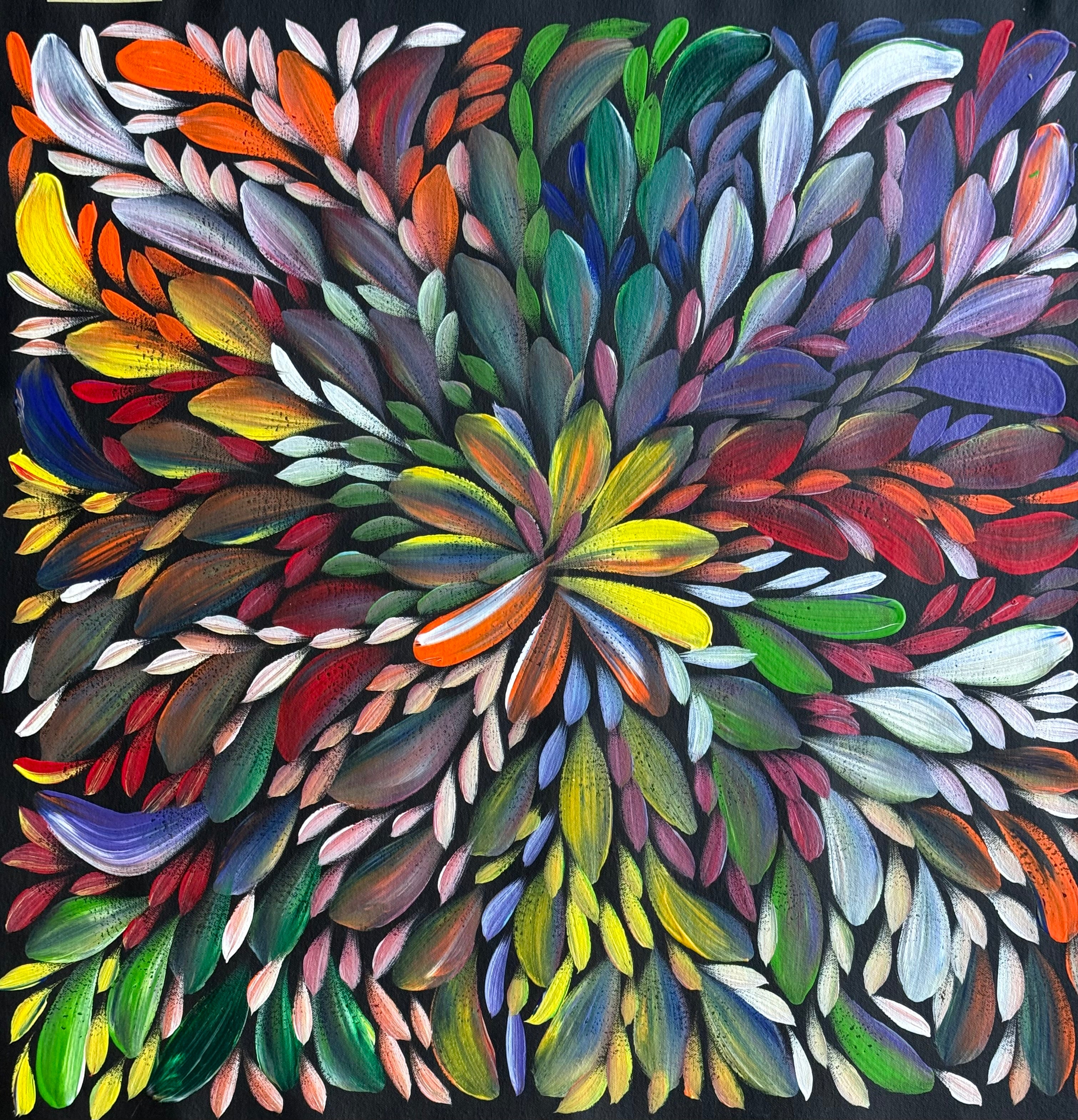 Louise Numina Napananka - Bush Medicine Leaves .26-11