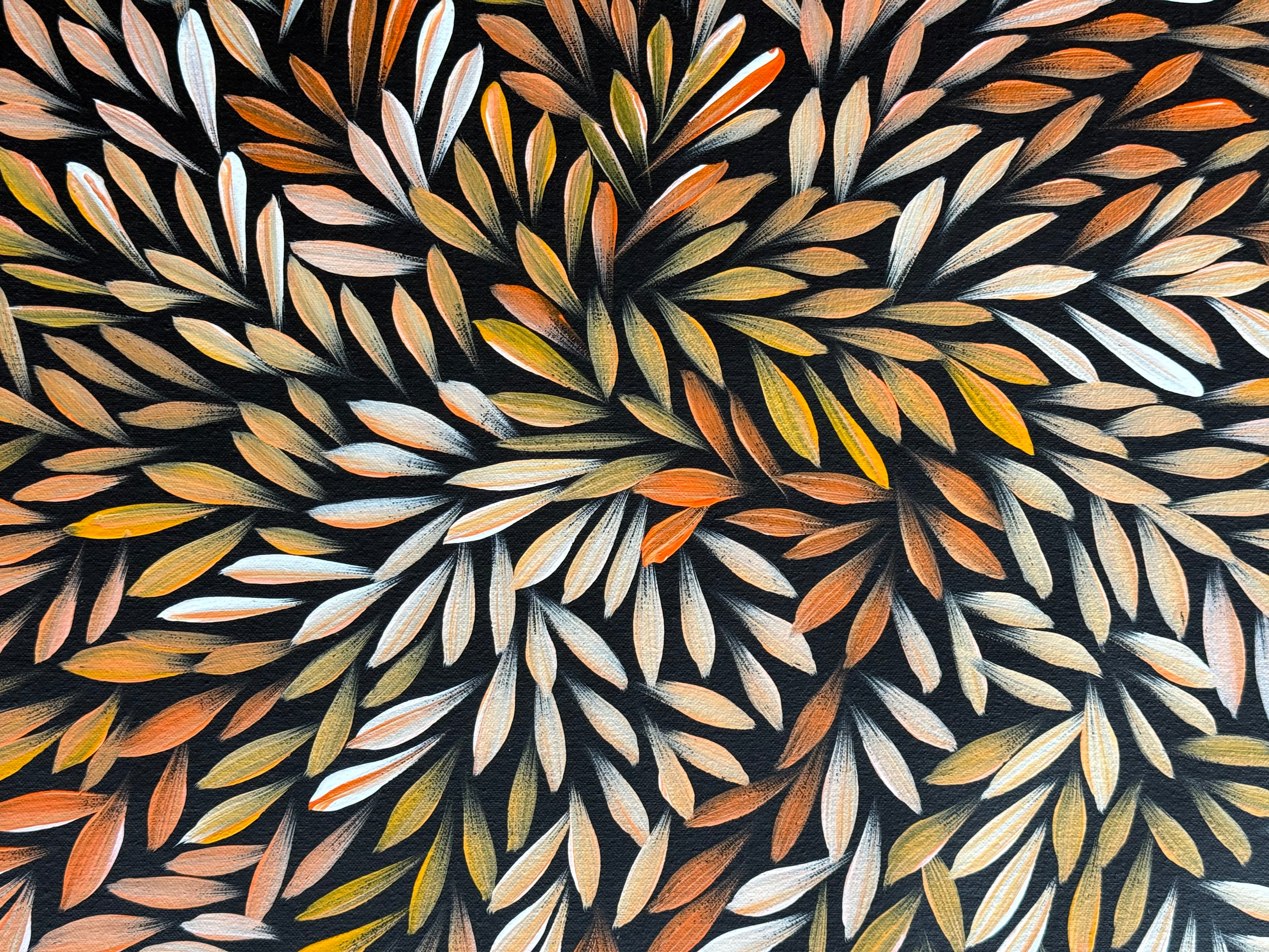Sharon Numina - Bush Medicine Leaves .14-10