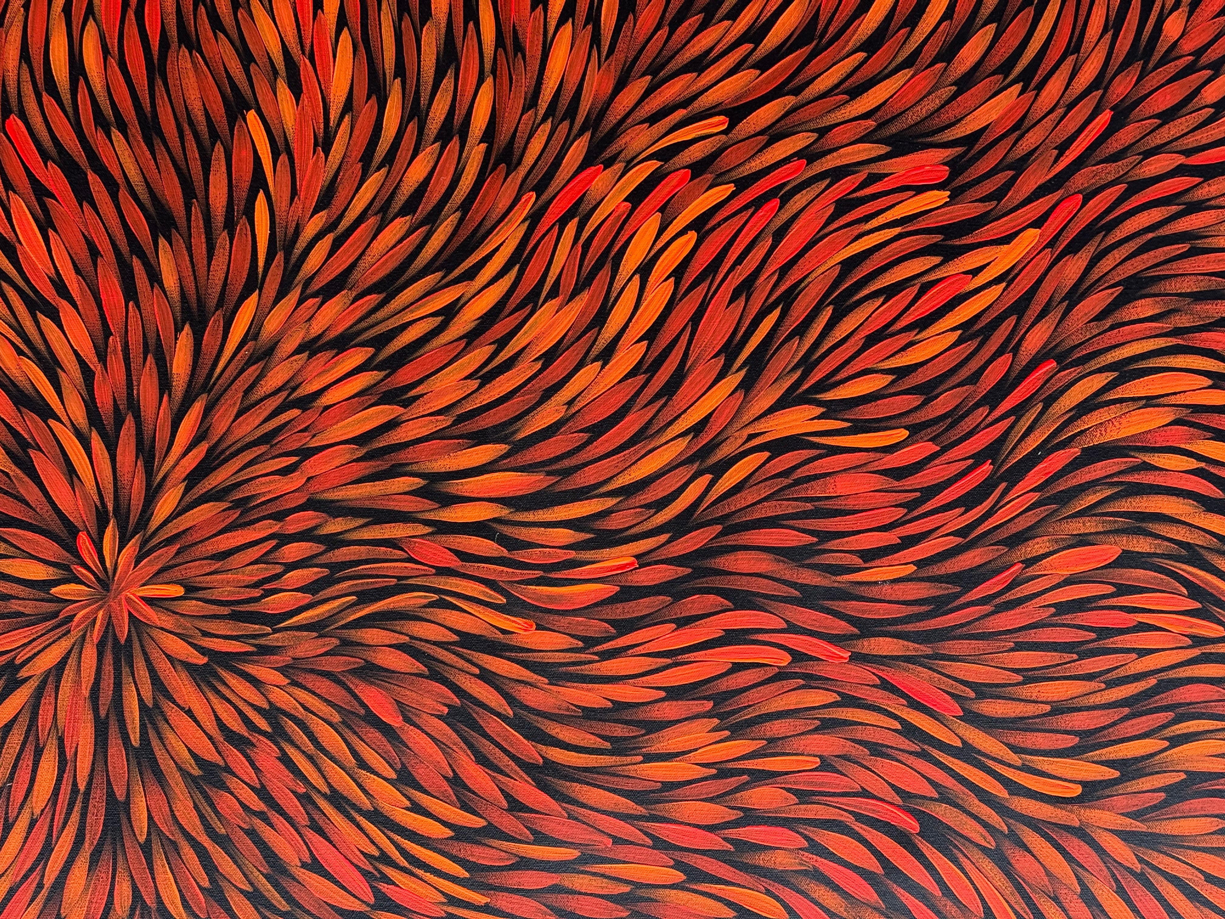 Sharon Numina - Bush Medicine Leaves .68-10