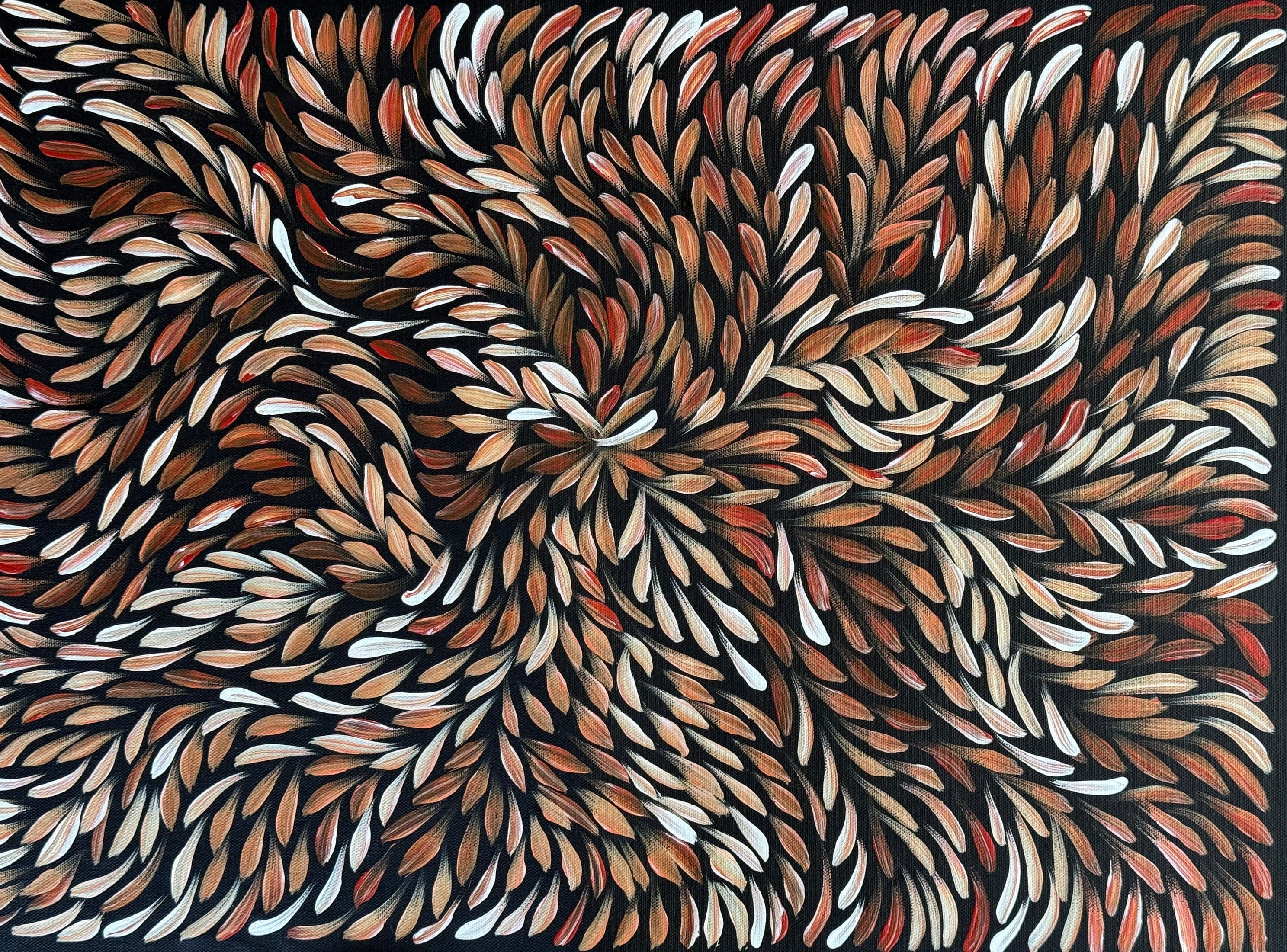 Sharon Turner - Bush Medicine Leaves - 54x39cm .95-8