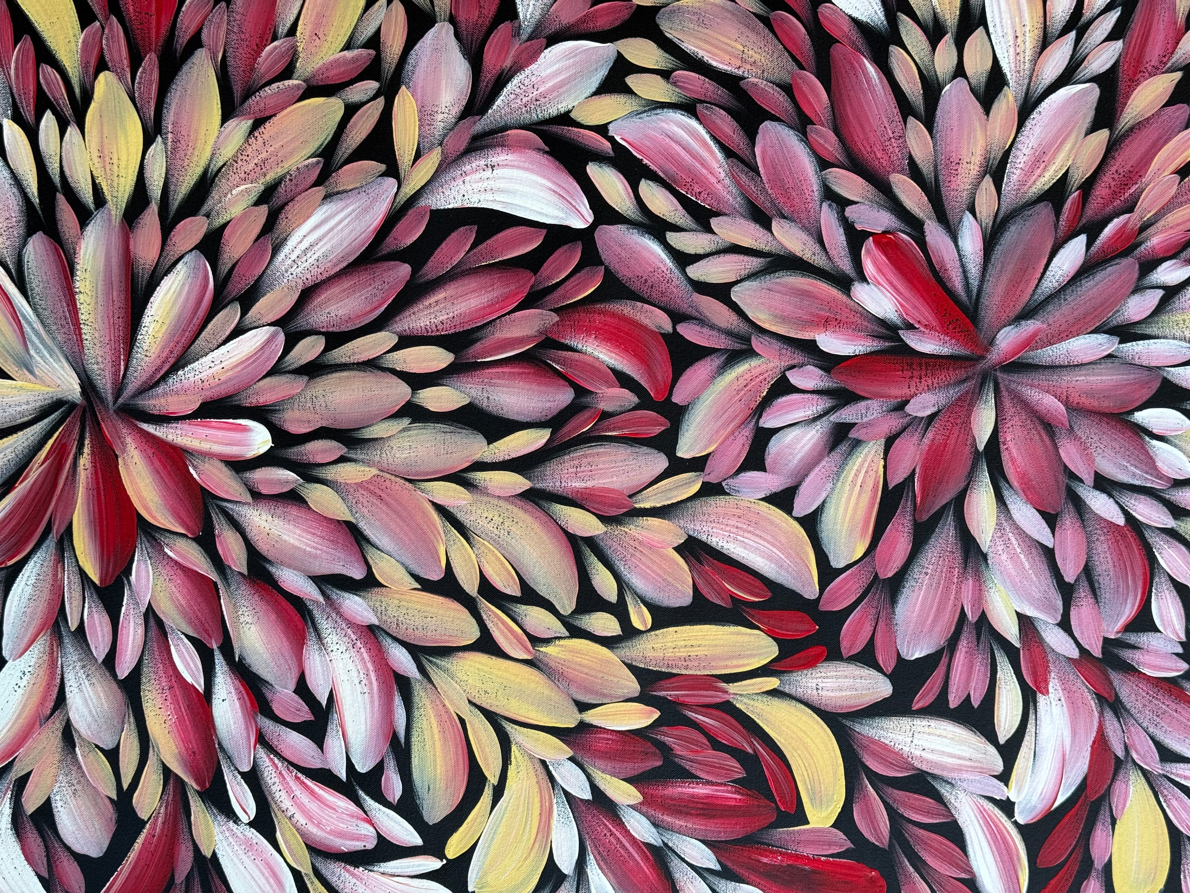 Louise Numina Napananka - Bush Medicine Leaves .57-49