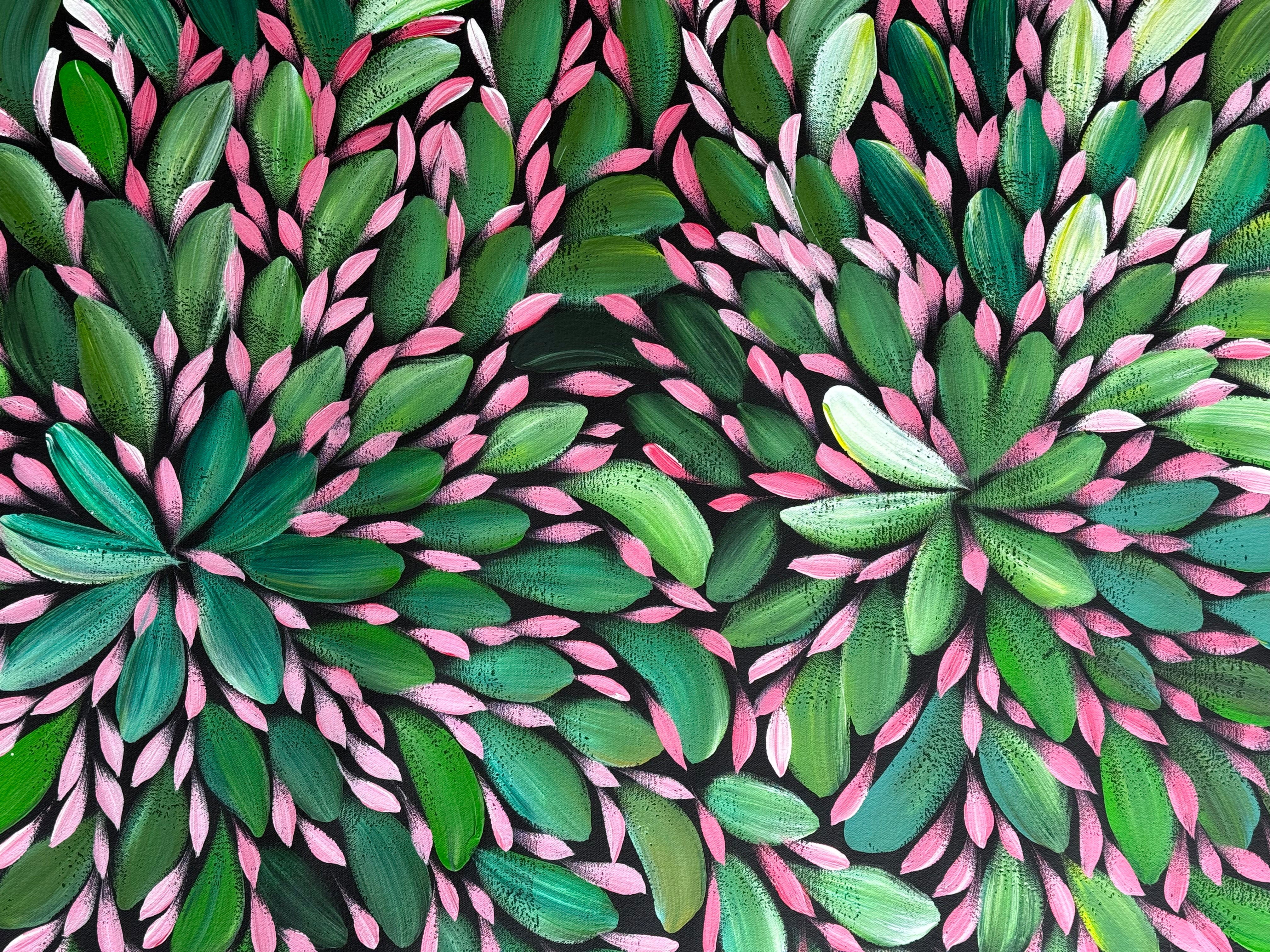 Louise Numina Napananka - Bush Medicine Leaves .43-12