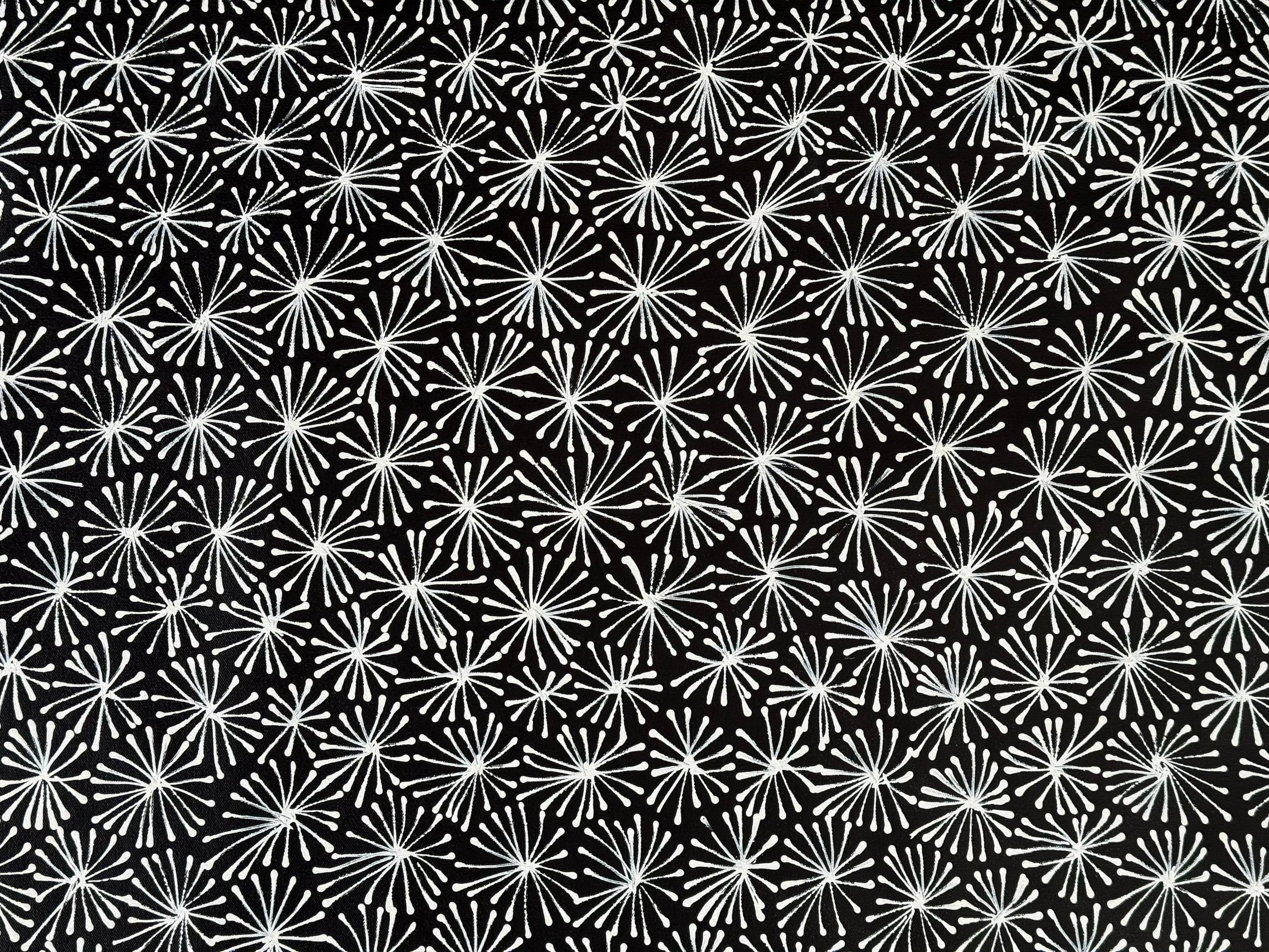 Sharon Numina - Thorny Lizard Skins .68-3