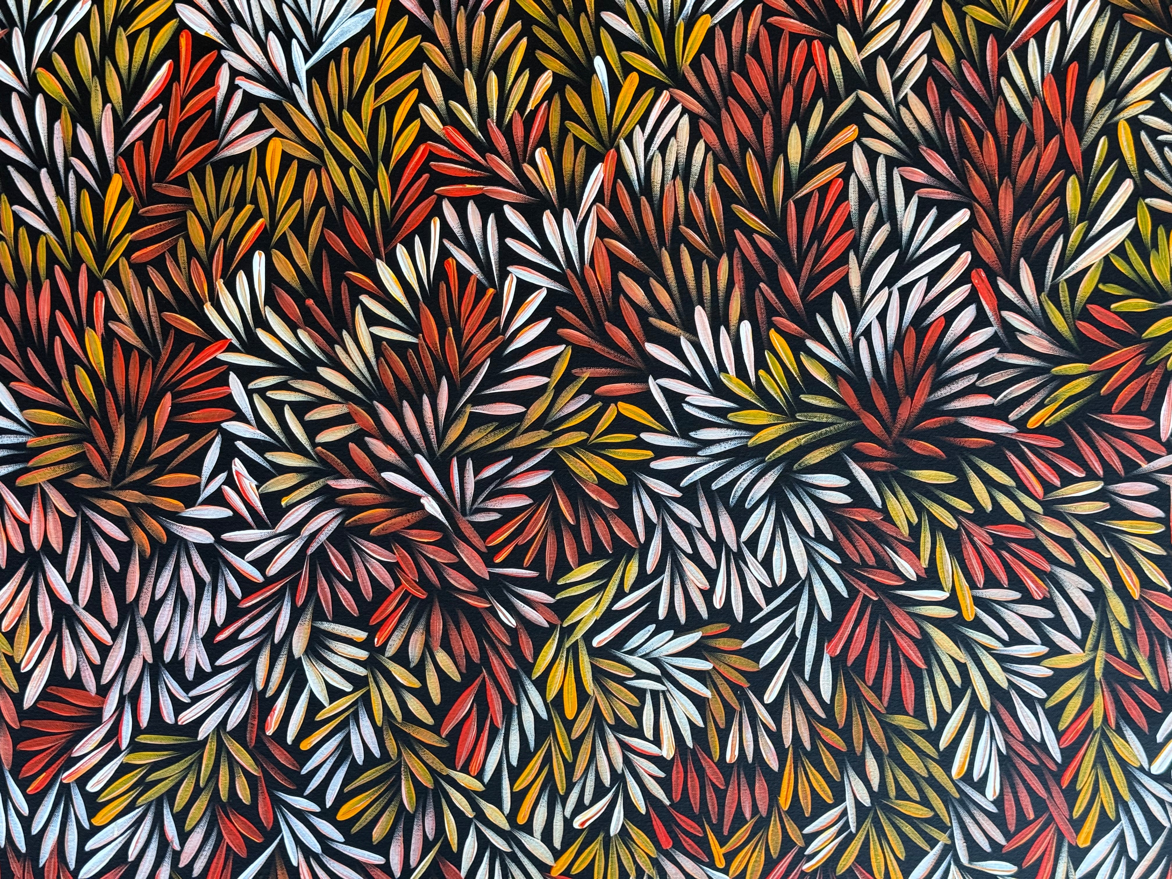 Sharon Numina - Bush Medicine Seeds .50-9