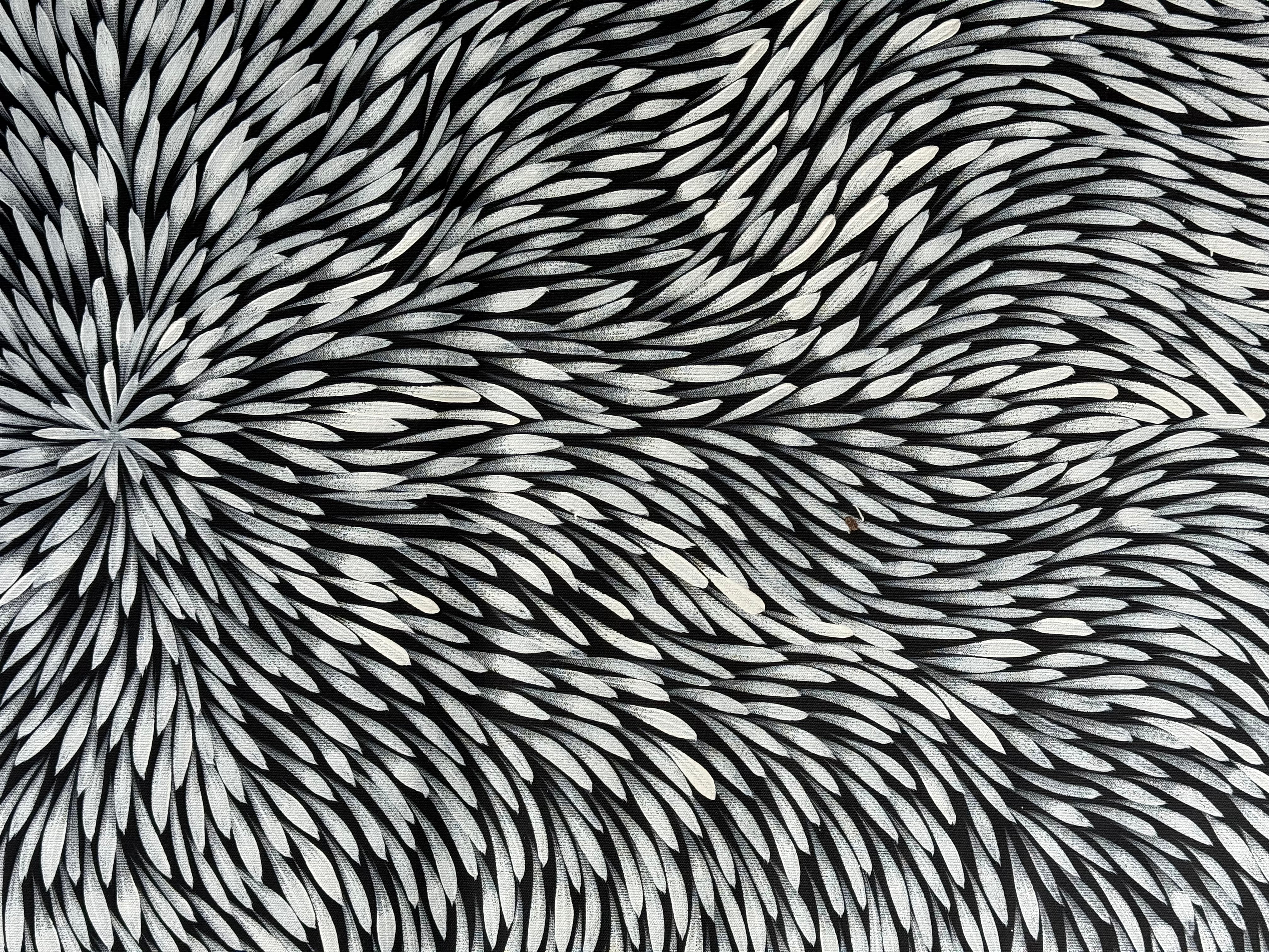 Sharon Numina - Bush Medicine Leaves .95-8