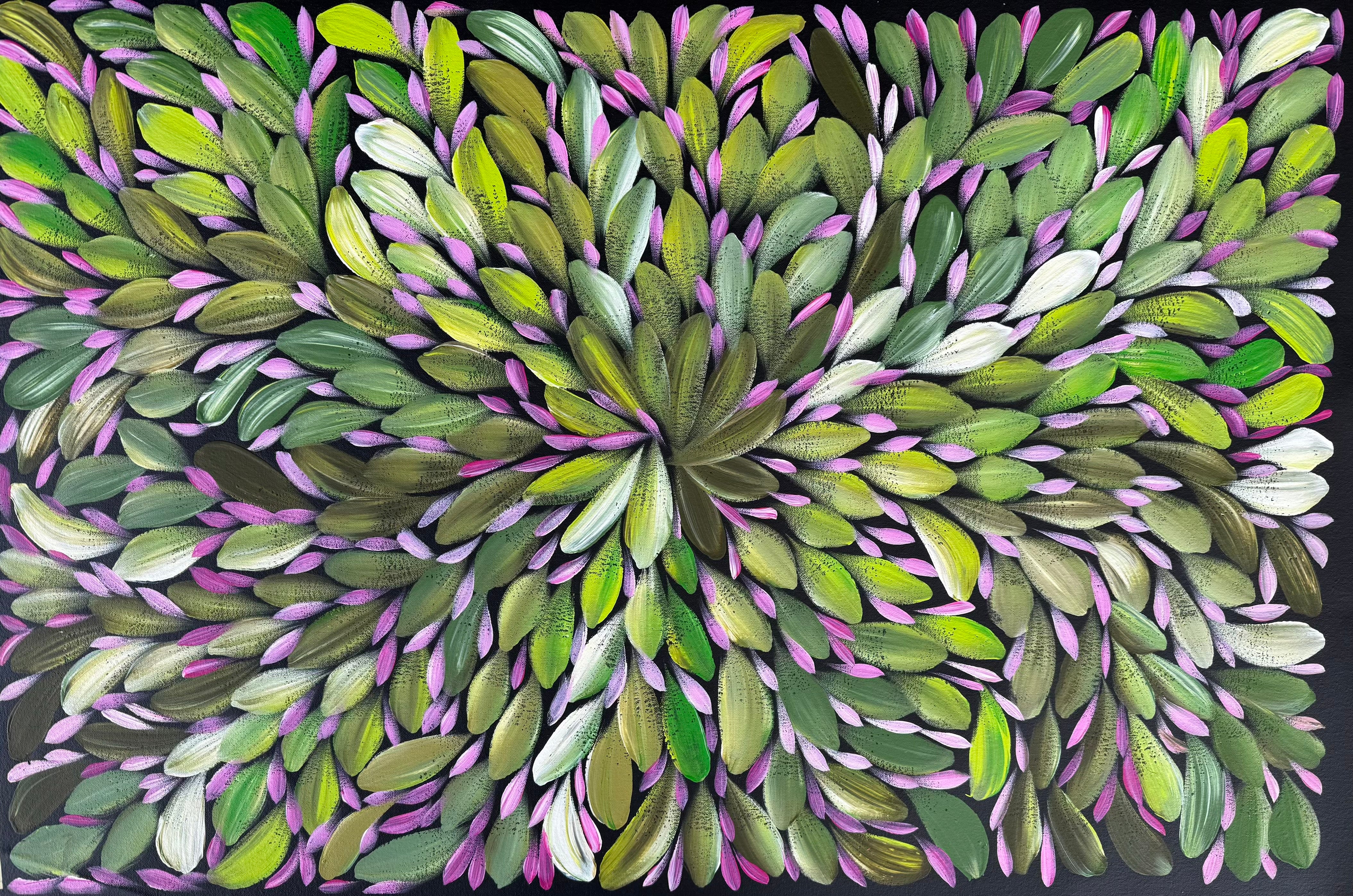 Louise Numina Napananka - Bush Medicine Leaves .65-6