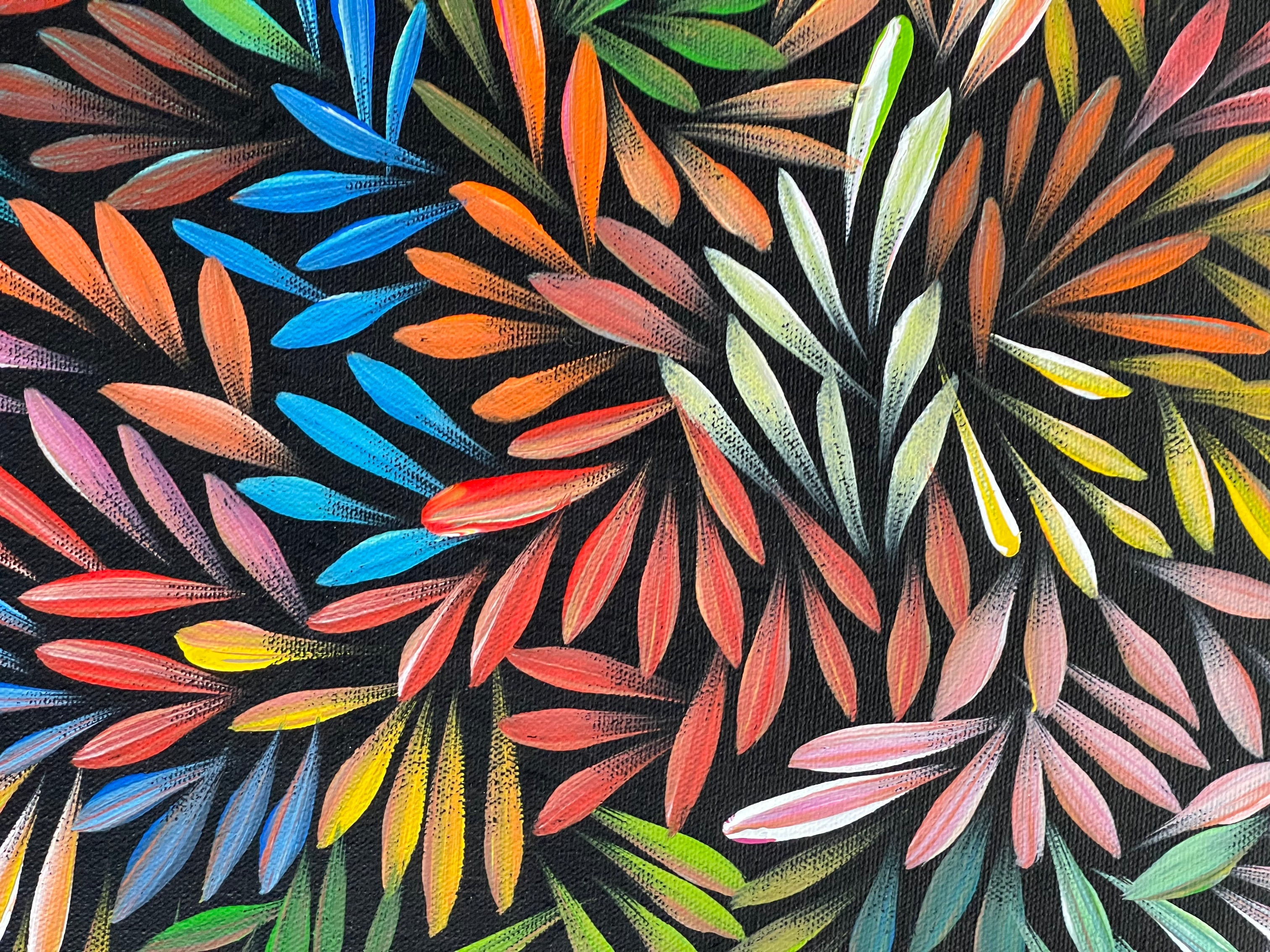 Sharon Numina - Bush Medicine Leaves - 38x53cm .80-15