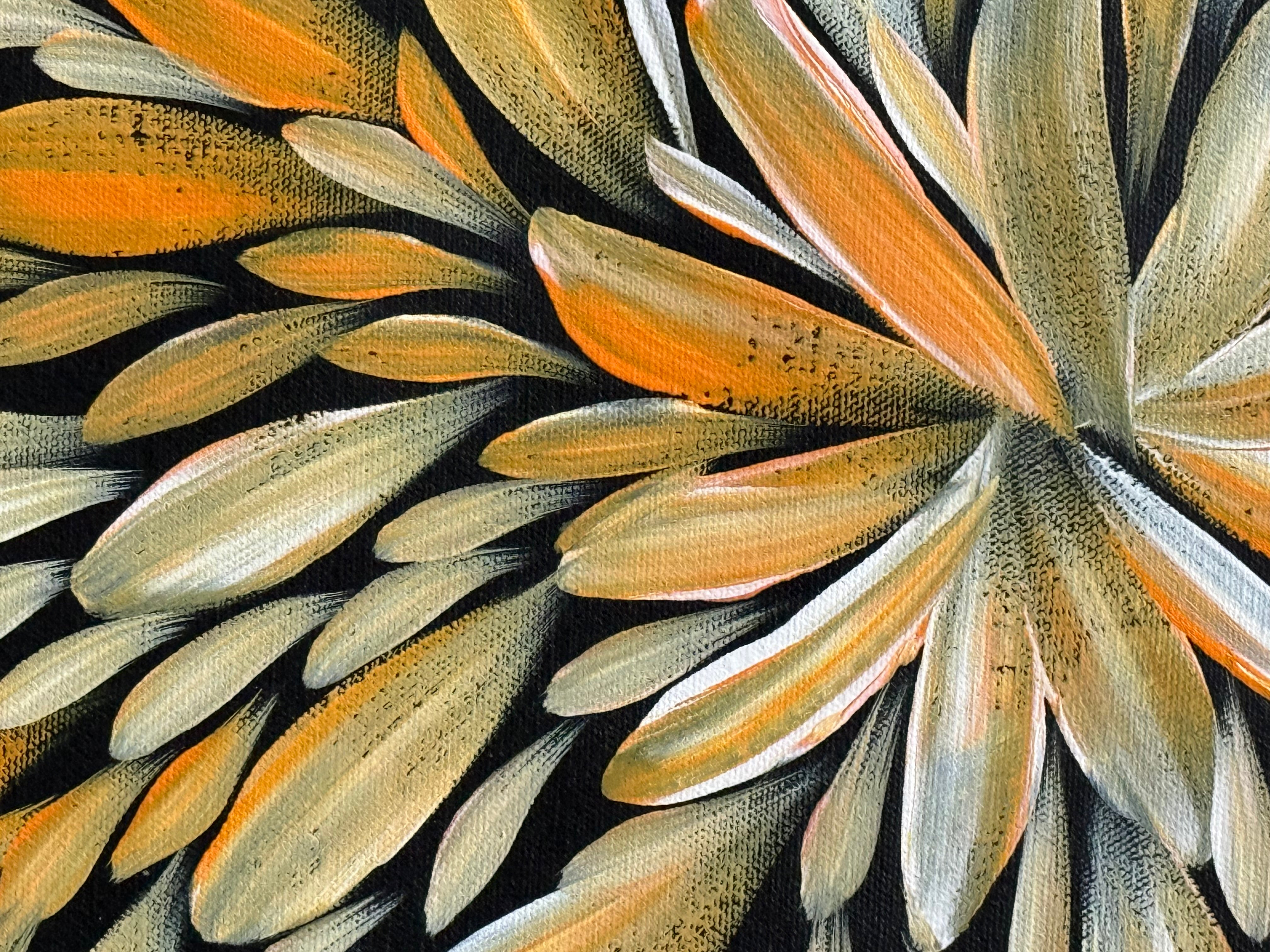 Louise Numina Napananka - Bush Medicine Leaves .16-12