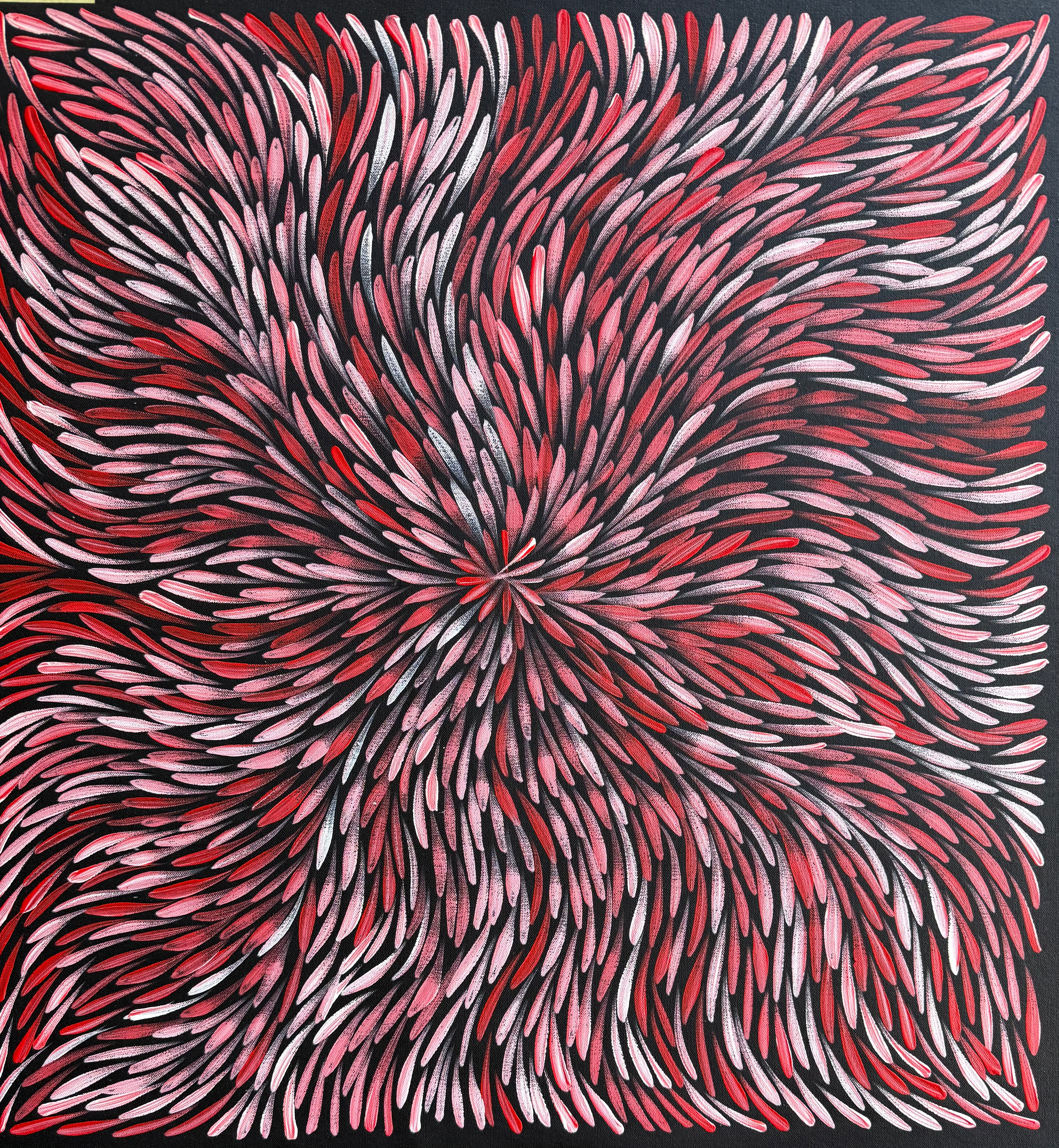 Sharon Numina - Bush Medicine Leaves .01-9