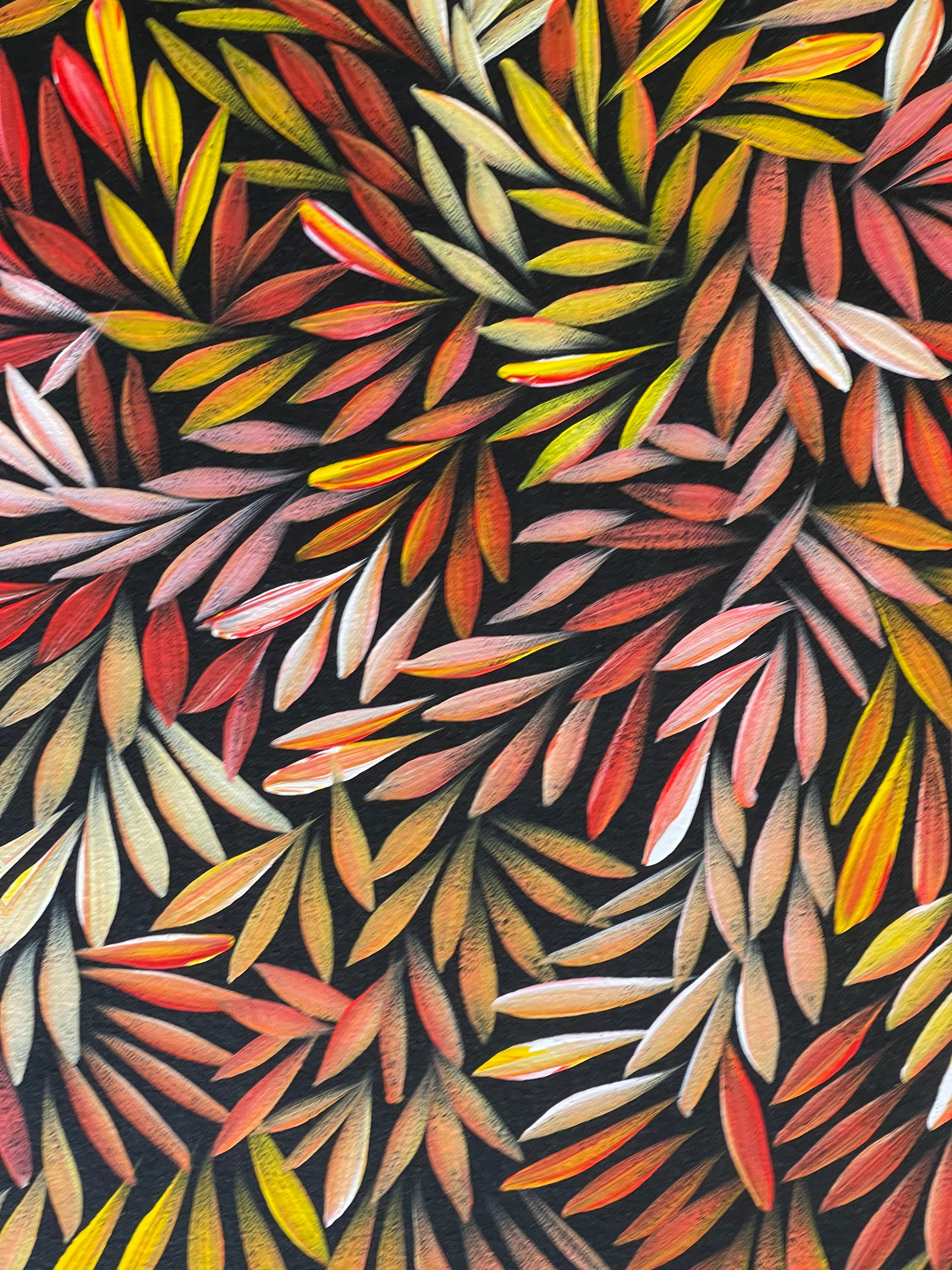 Sharon Numina - Bush Medicine Leaves - 59x60cm .92-3