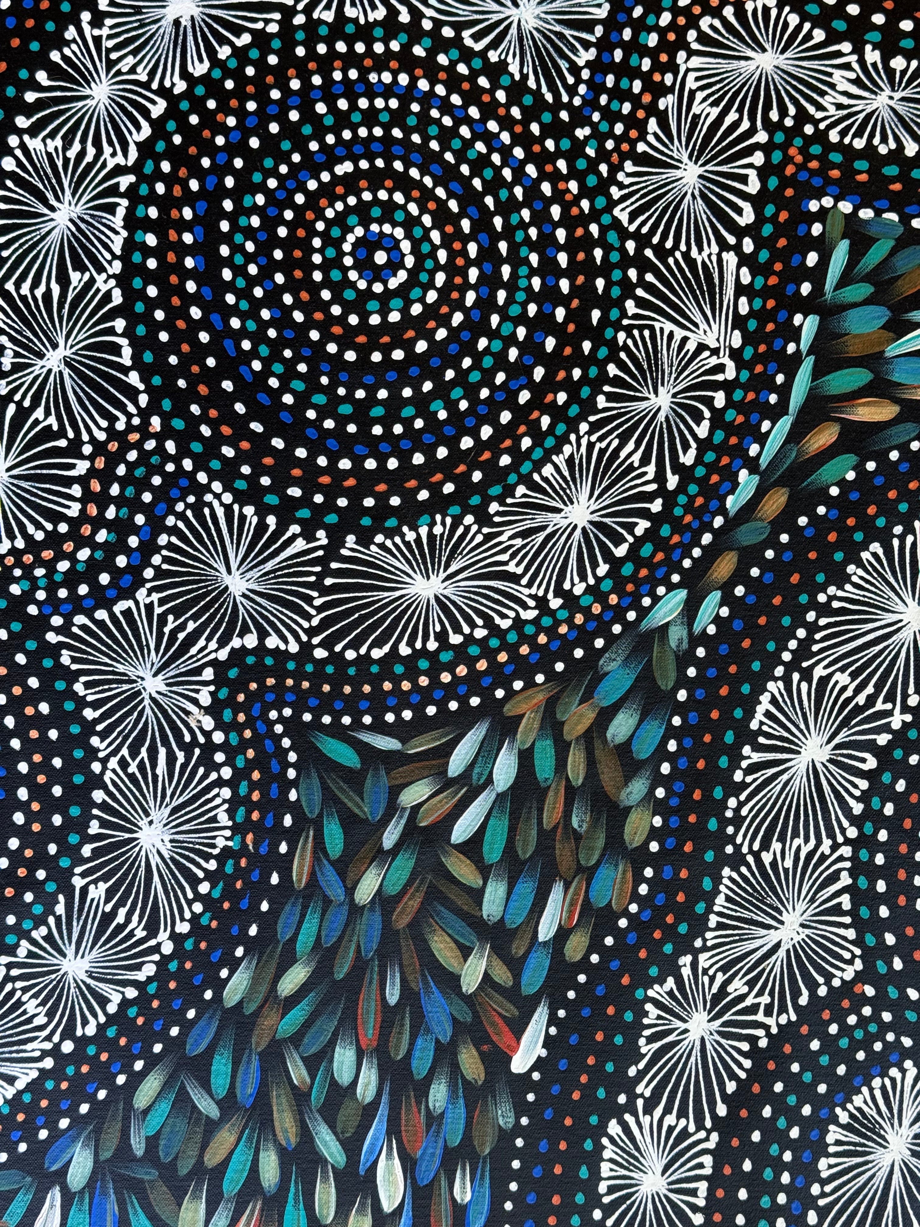 Selina Numina Kamprina - Seeds and Waterholes .92-16