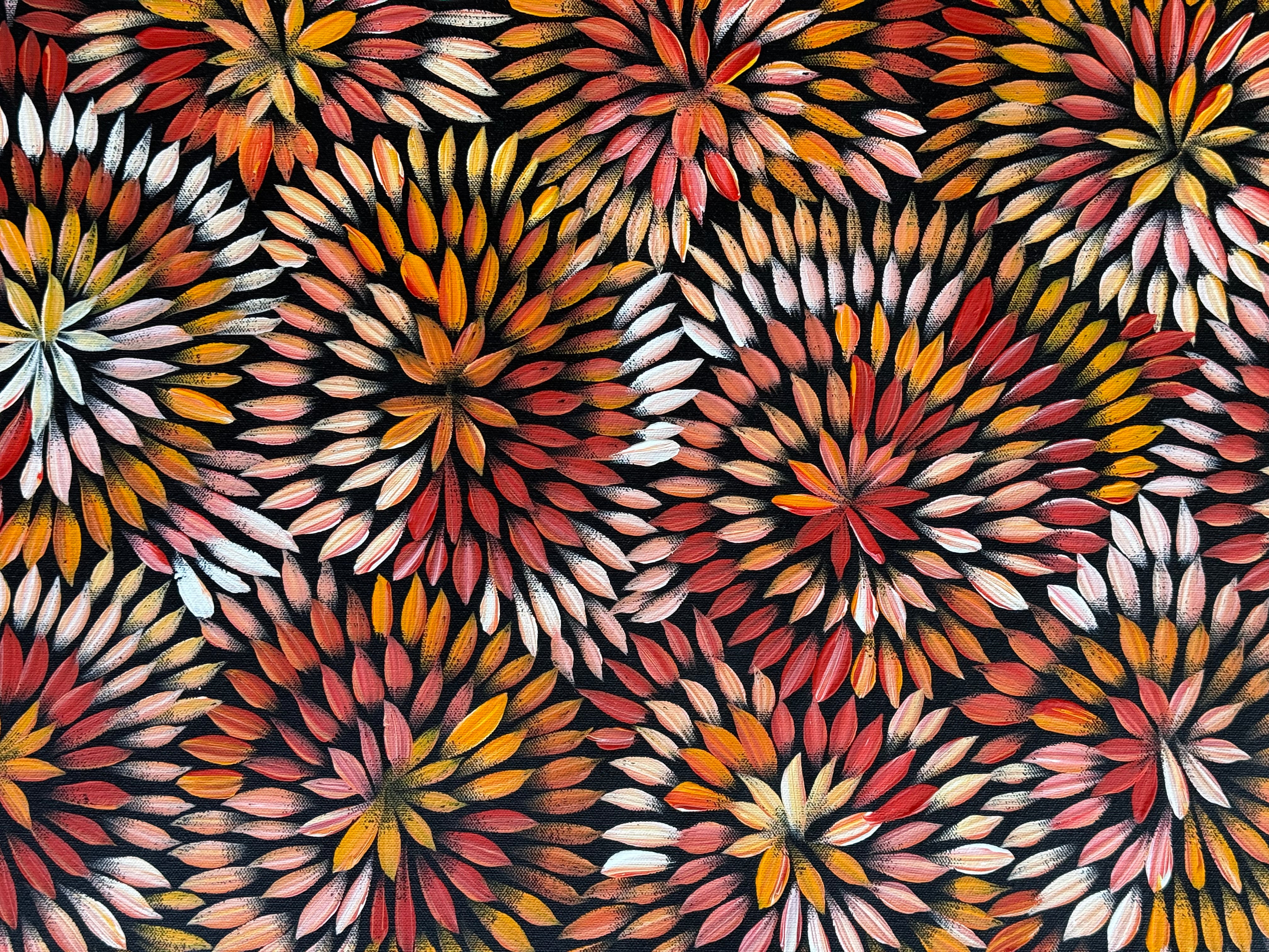 Sharon Numina - Bush Medicine Flowers .83-6