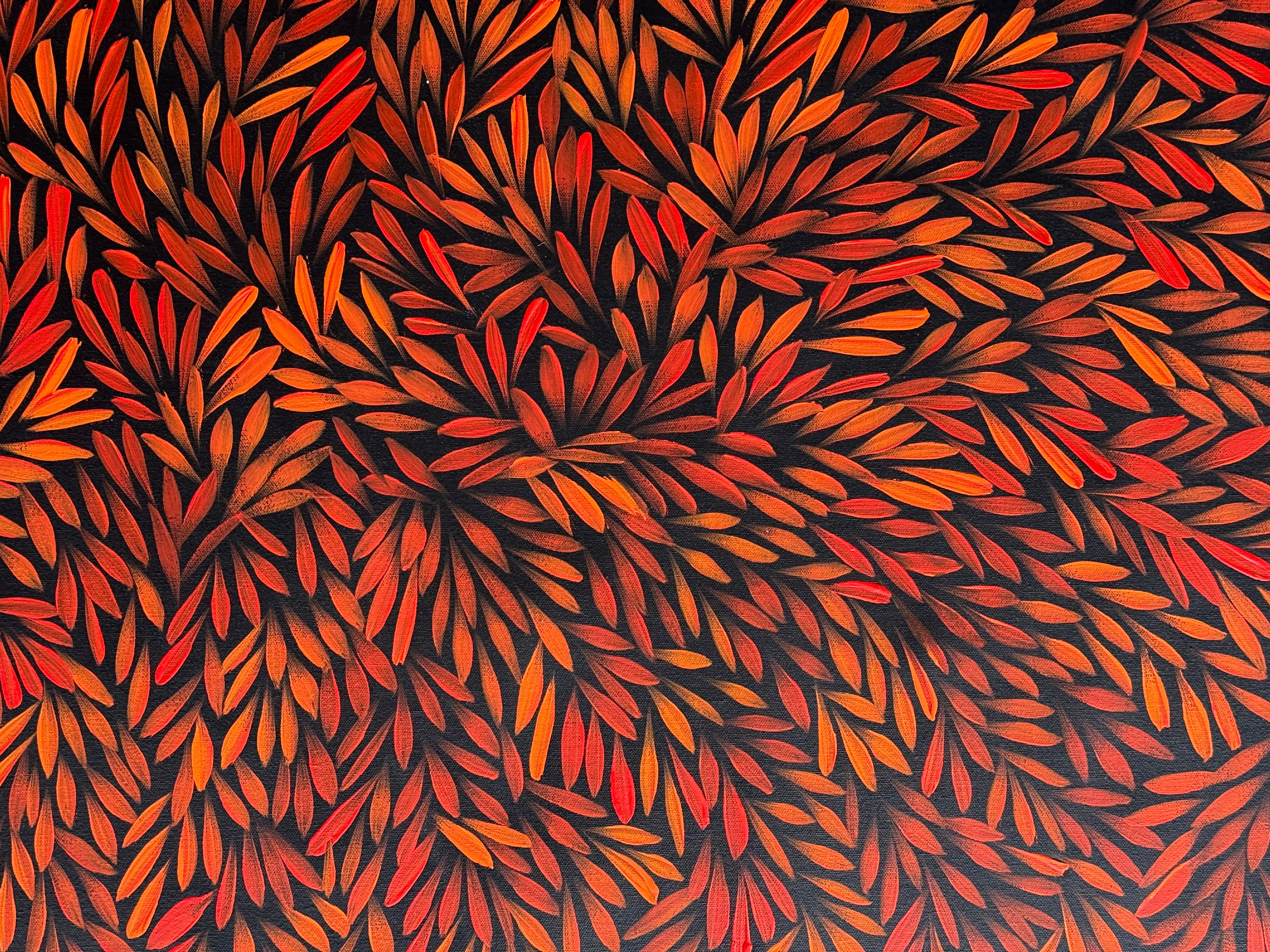 Sharon Numina - Bush Medicine Leaves .68-9
