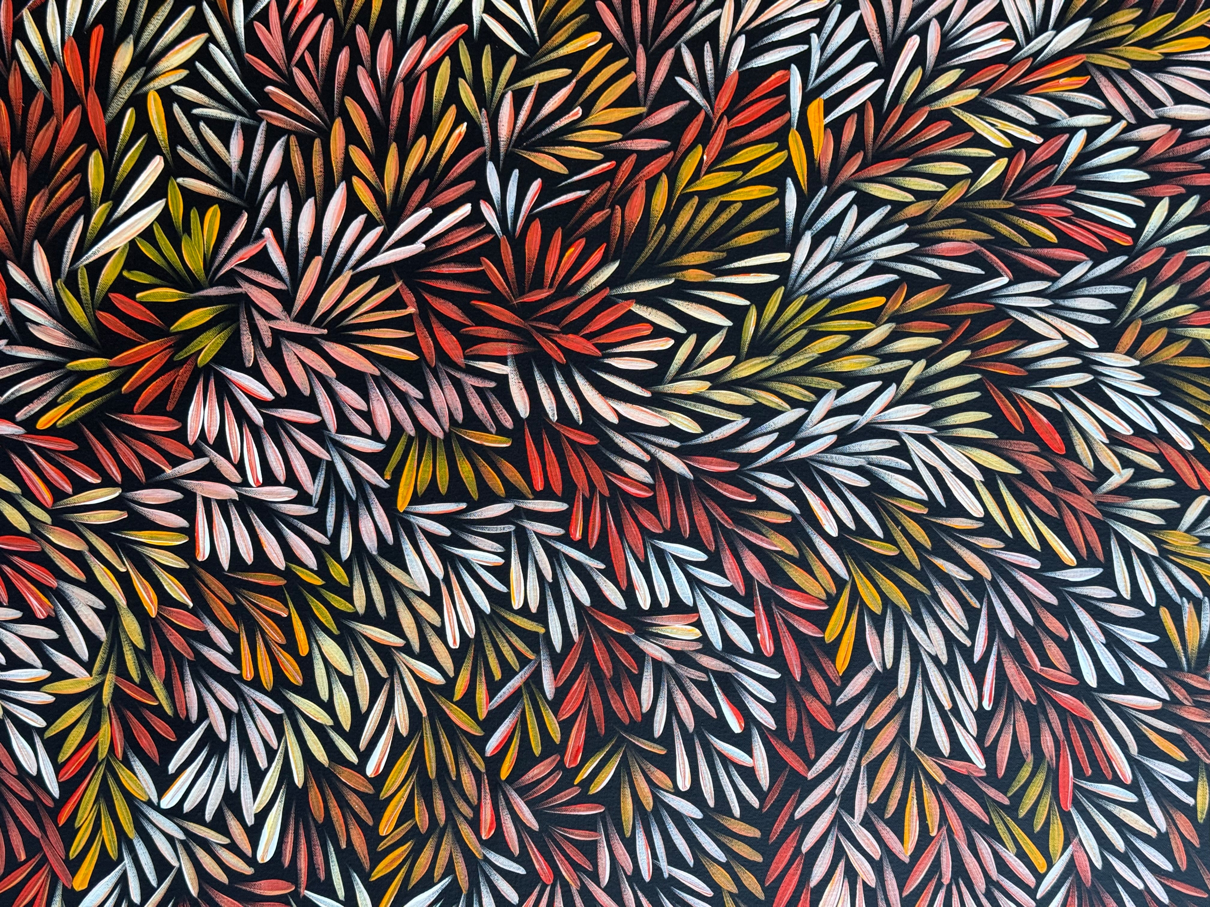 Sharon Numina - Bush Medicine Seeds .50-9