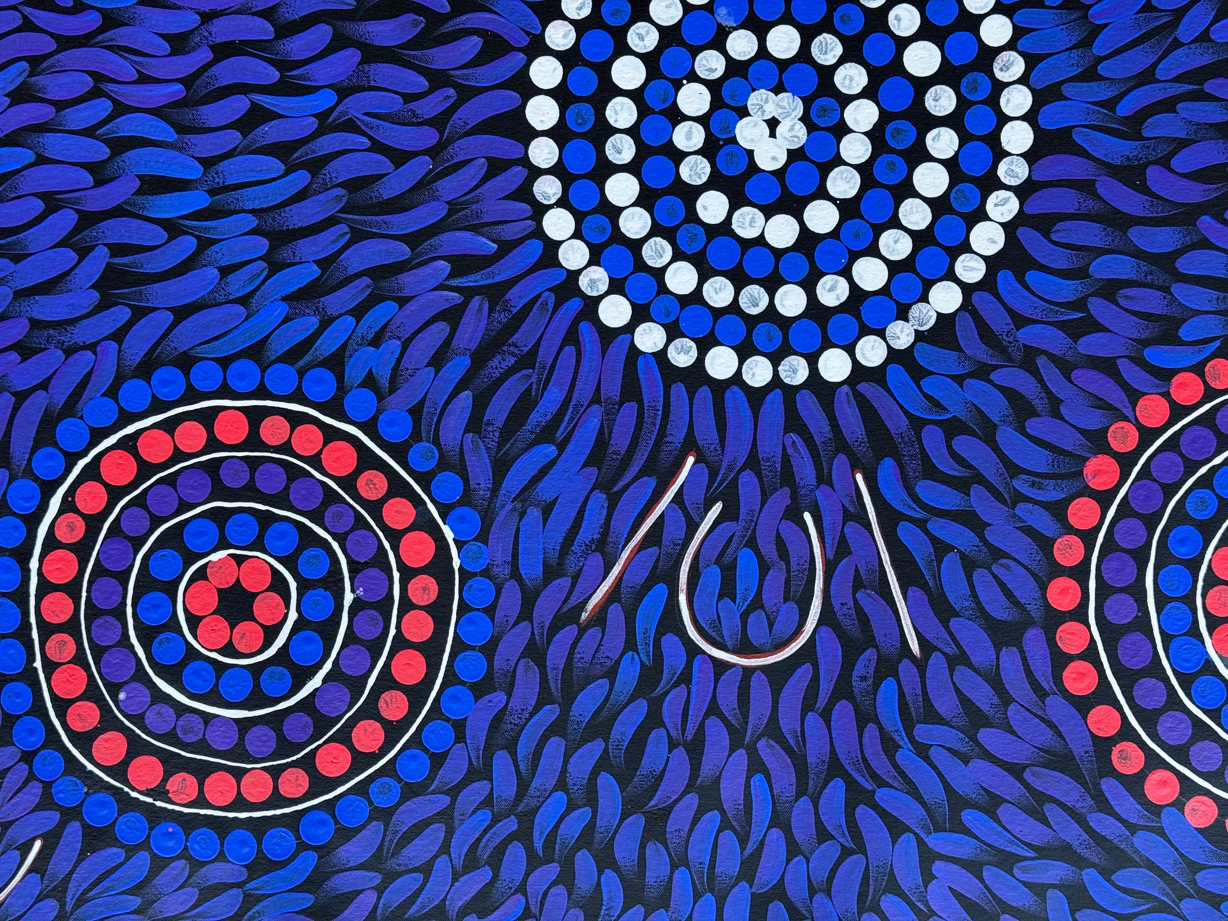 Sabina Gorey - Bush Medicine Leaves .04-7
