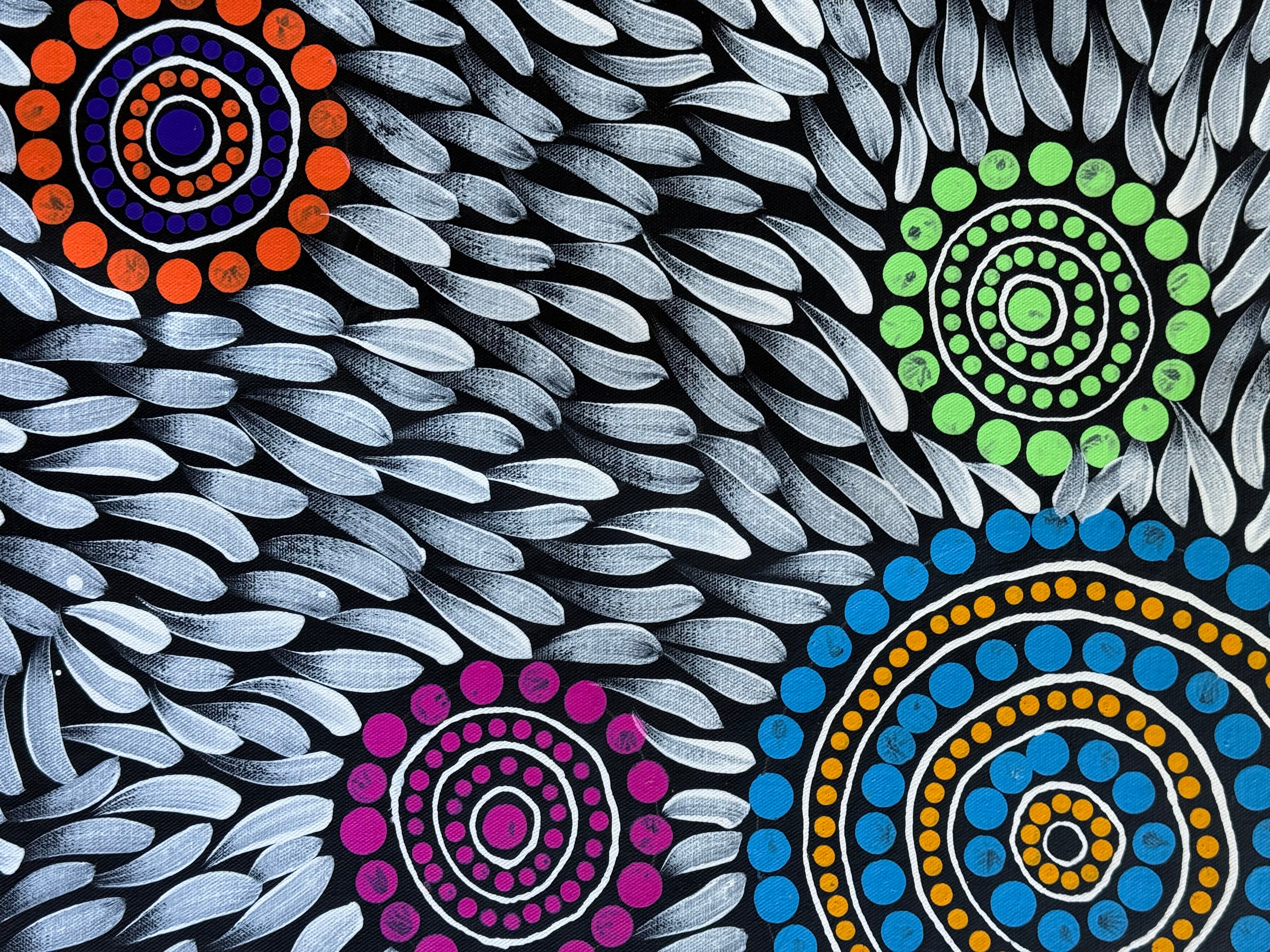 Sabina Gorey - Bush Medicine Leaves .04-1