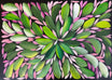 Louise Numina Napananka - Bush Medicine Leaves - 36x51cm .24-5