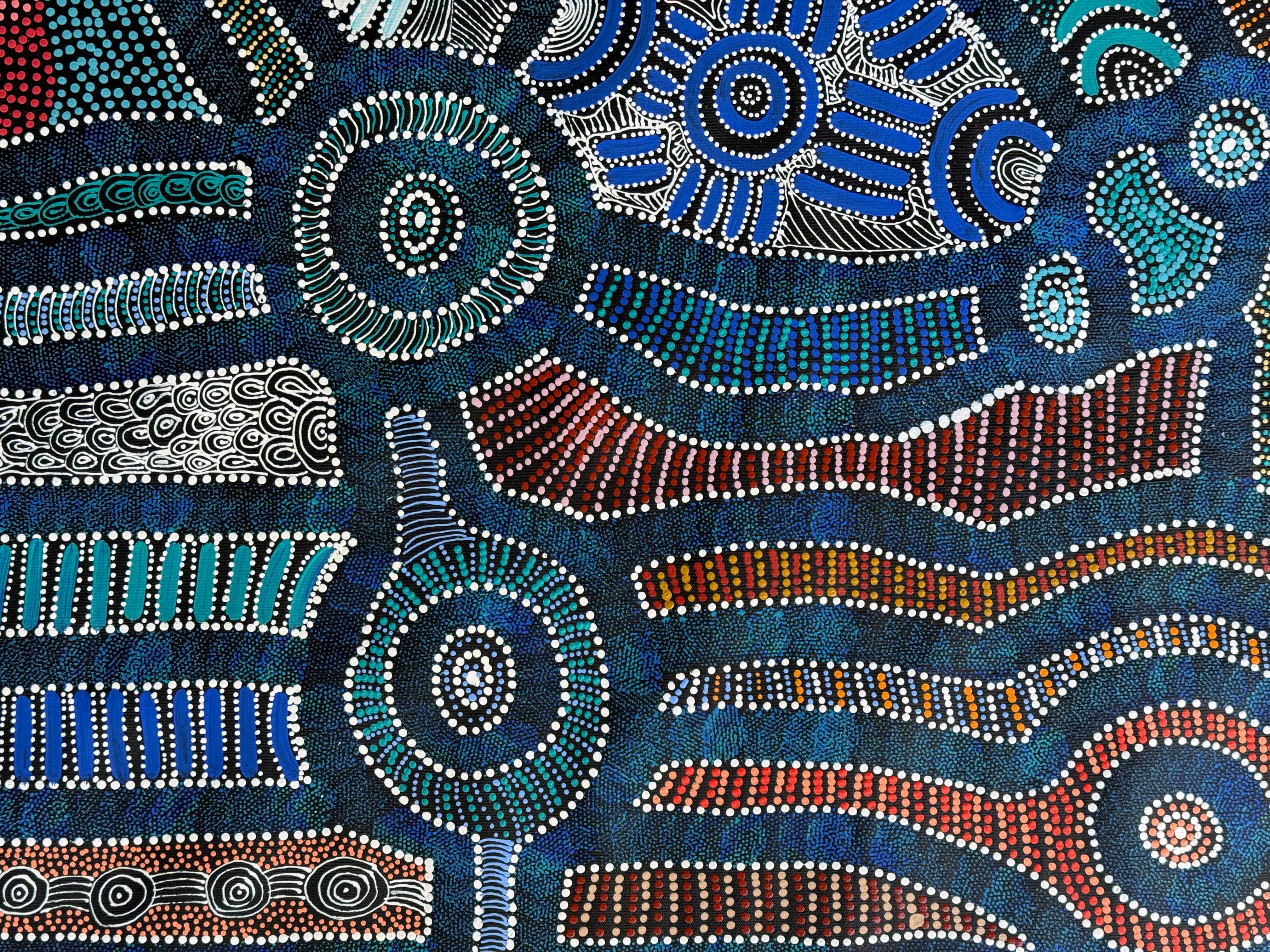 Caroline Numina - Thorny Lizard Dreaming .13-3