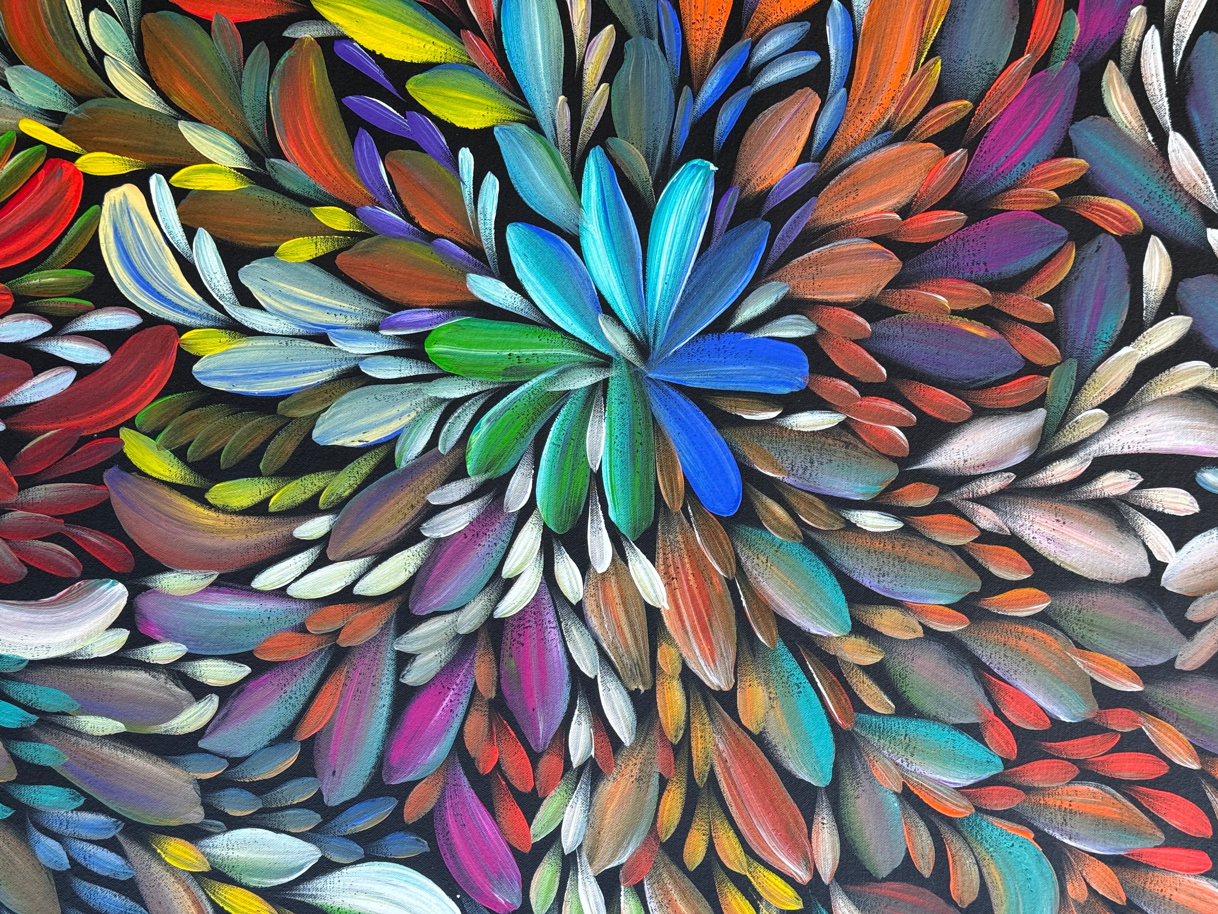 Louise Numina Napananka - Bush Medicine Leaves .49-37