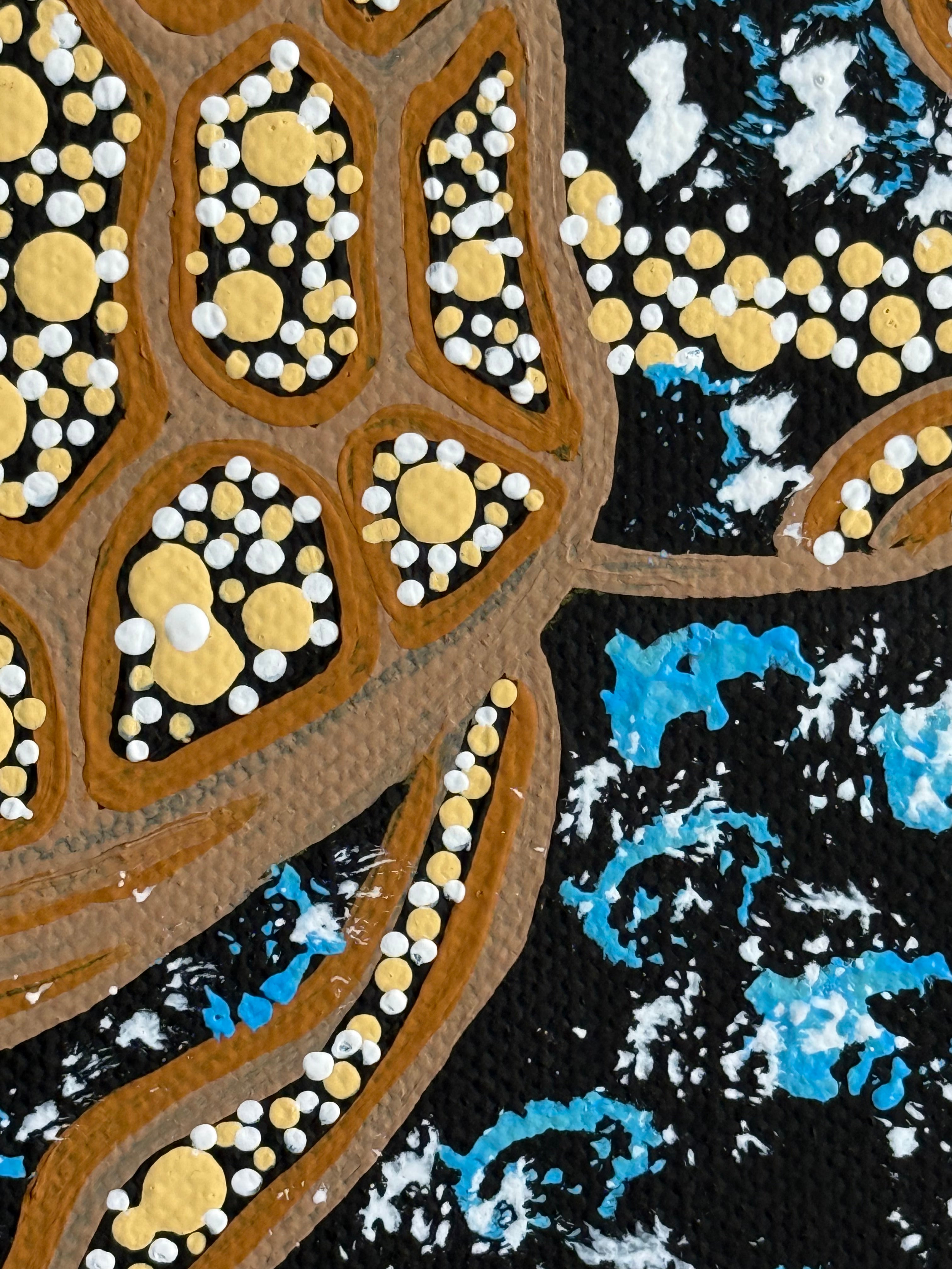 Deidre Burgoyne Rosier - Turtle Dreaming *pre-stretched* .18-8