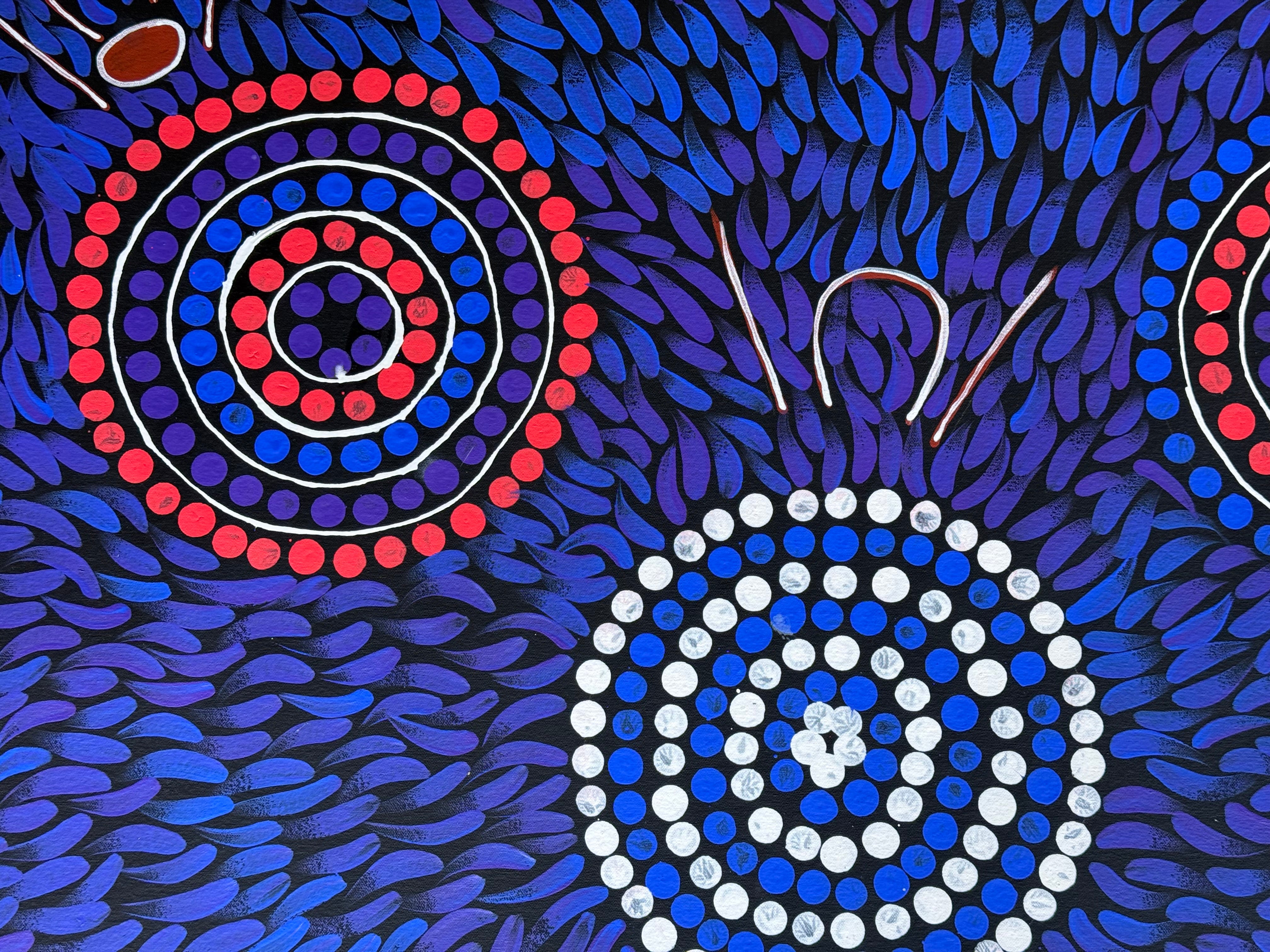 Sabina Gorey - Bush Medicine Leaves .04-7
