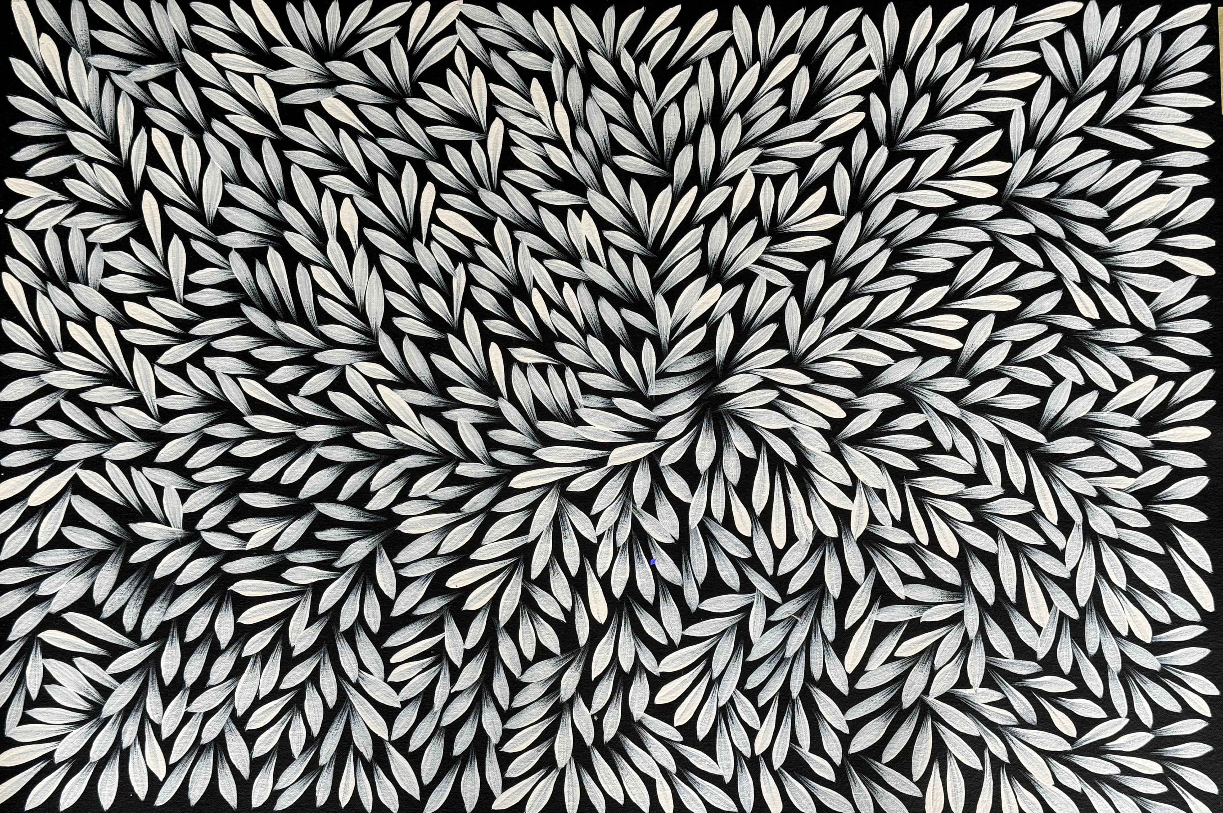 Sharon Numina - Bush Medicine Leaves .14-12