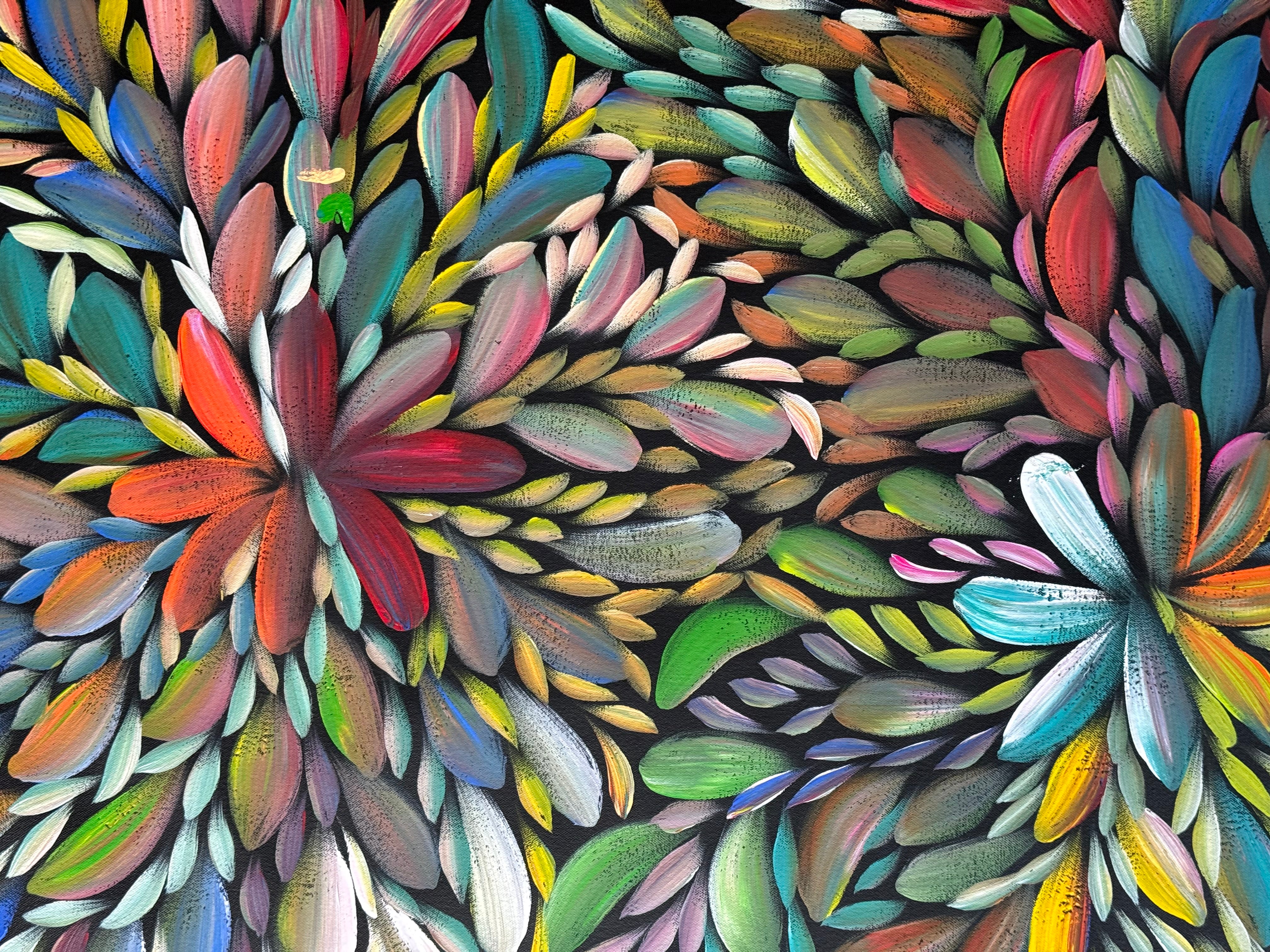 Louise Numina Napananka - Bush Medicine Leaves .16-4