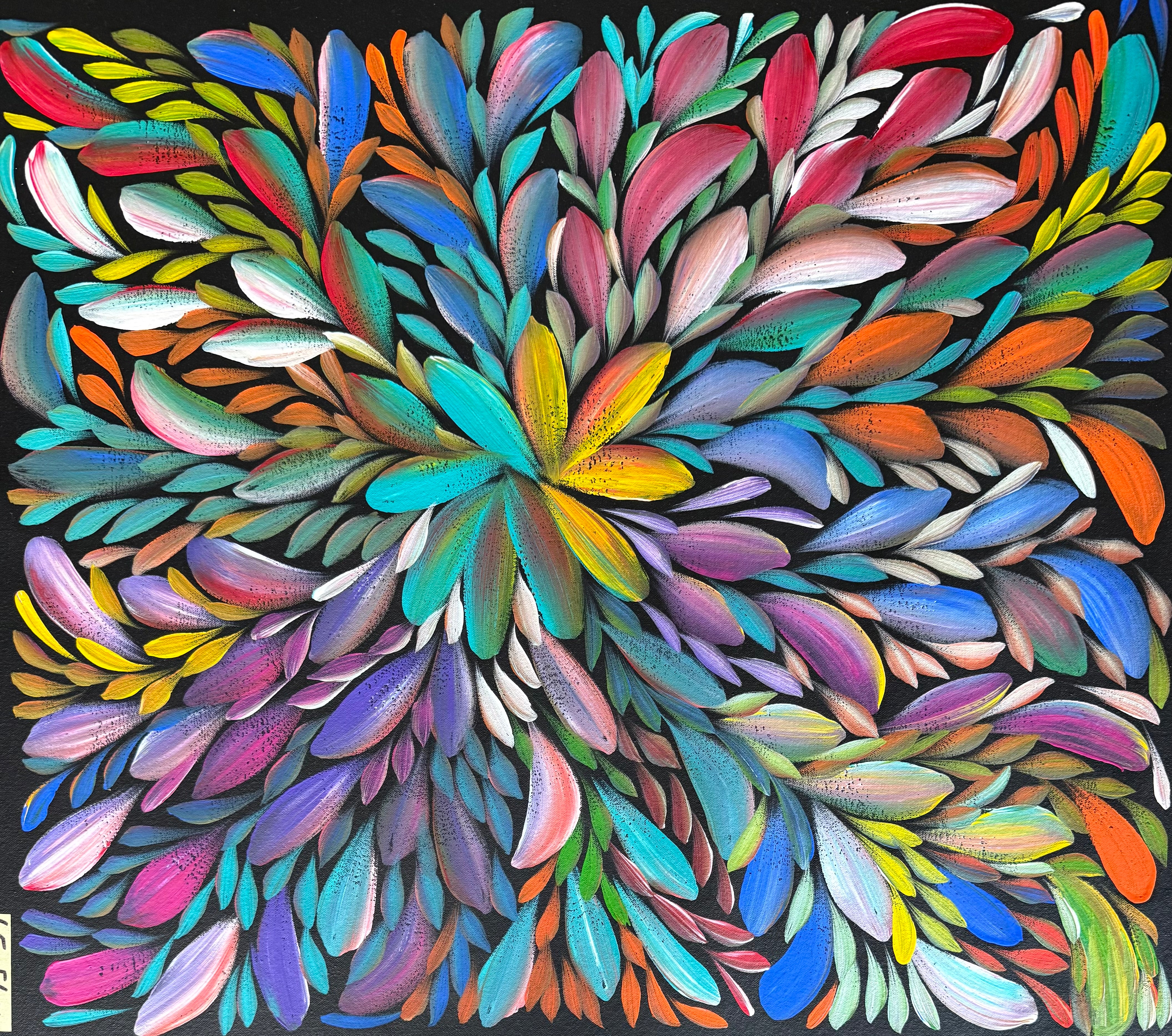 Louise Numina Napananka - Bush Medicine Leaves .16-58