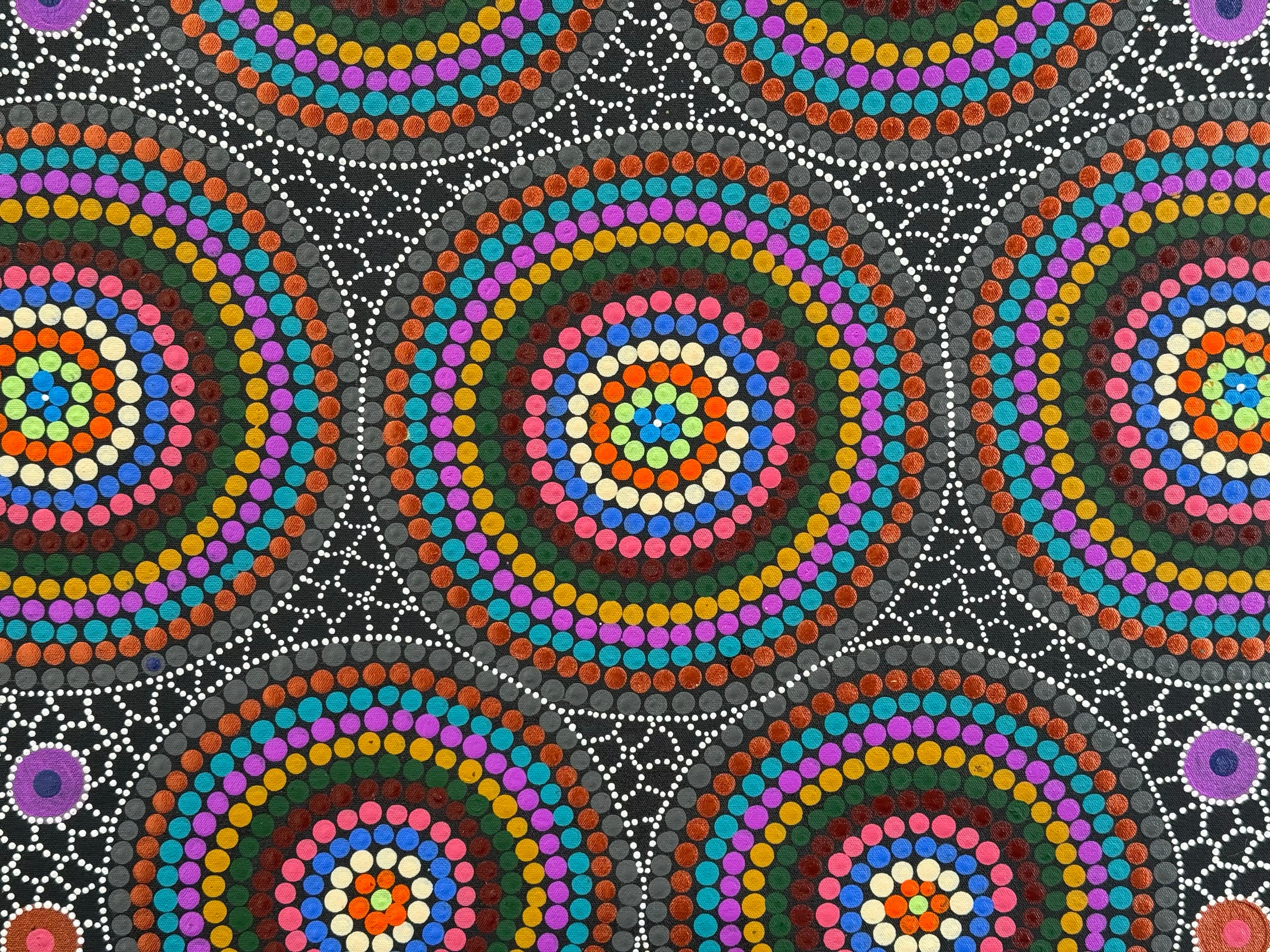 Linda Gibson - Bush Tomatoes, Bush Seeds, Bush Medicine, Bush Flowers .74-4